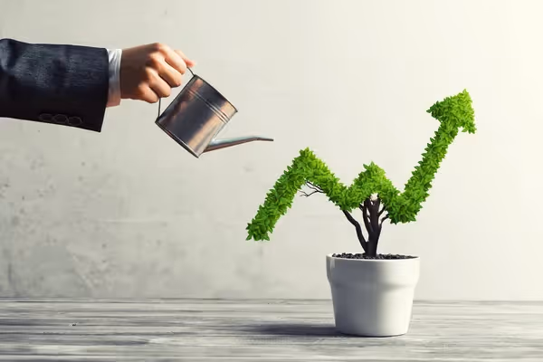 Halal Investment - A Beginner's Guide