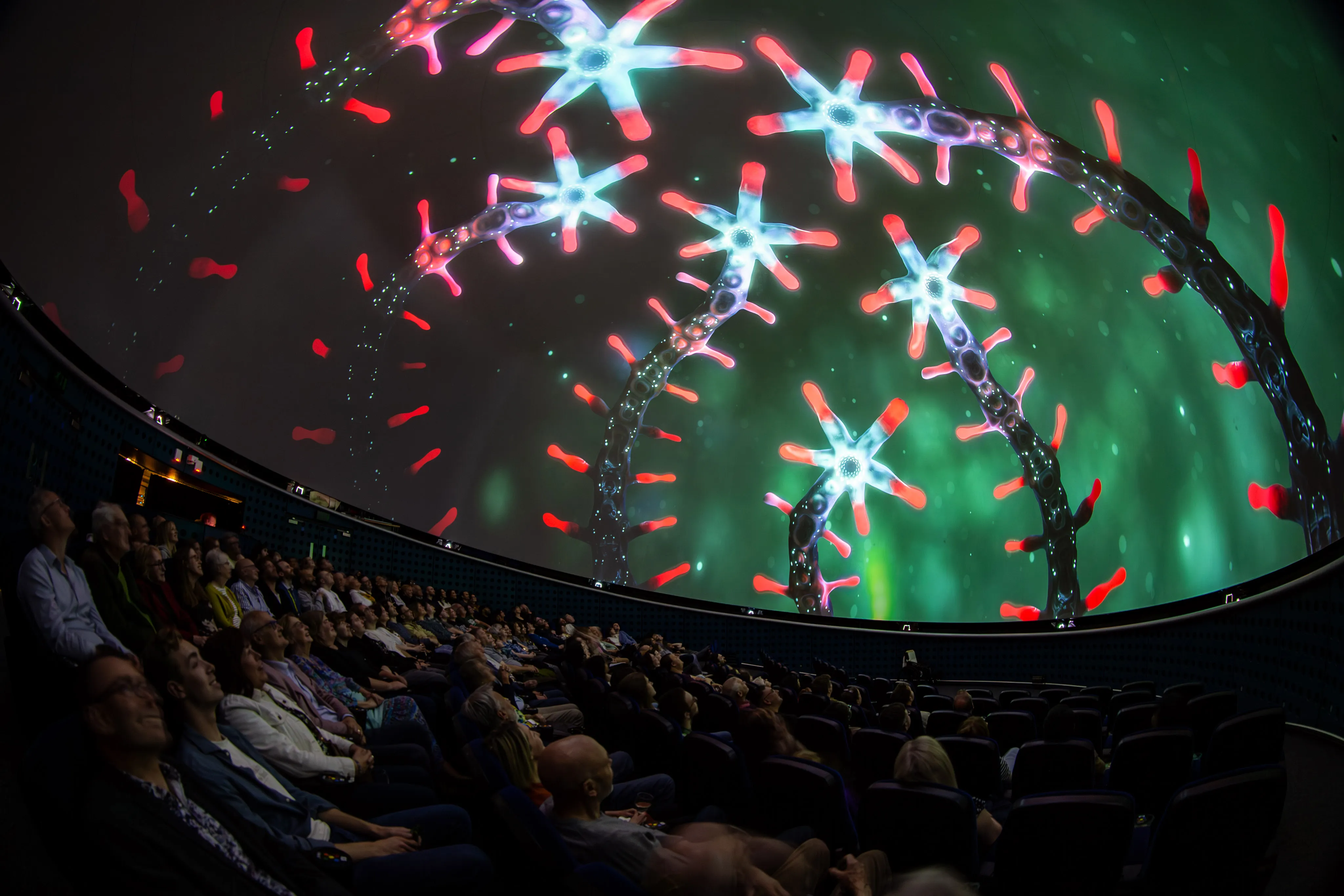 Students experiencing an educational dome session at Beyond Dome Dubai