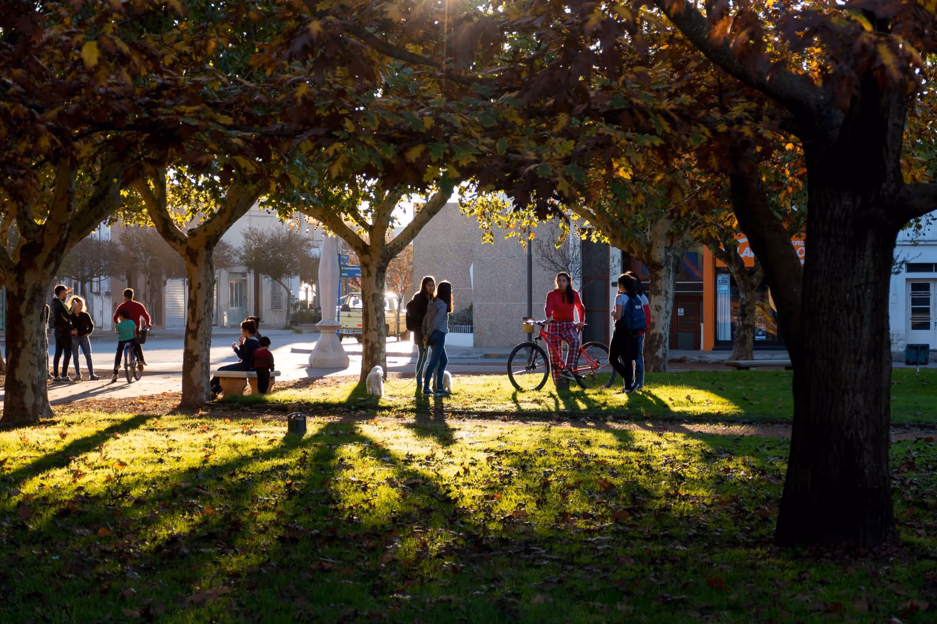 Group of people gathered in a shaded park area with autumn trees and sunlight casting long shadows.