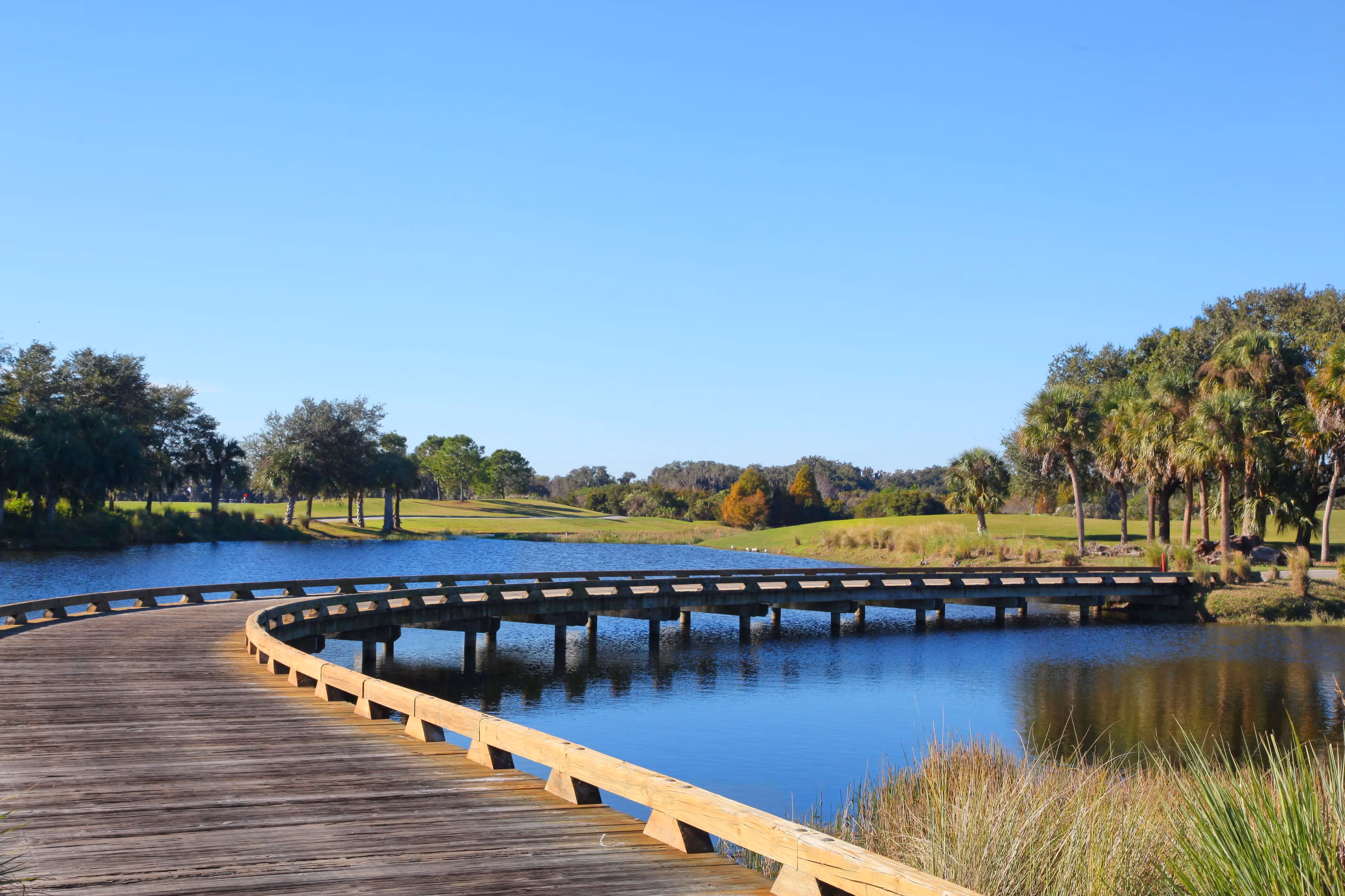 The Founders Club Sarasota luxury golf course real estate and custom homes