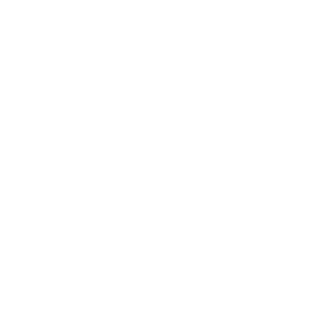 Hvit ikon for fremmedvannsøk