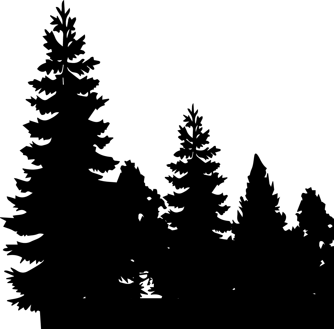 Schwarzweiße Silhouette von Tannenbäumen unterschiedlicher Größe vor weißem Hintergrund.