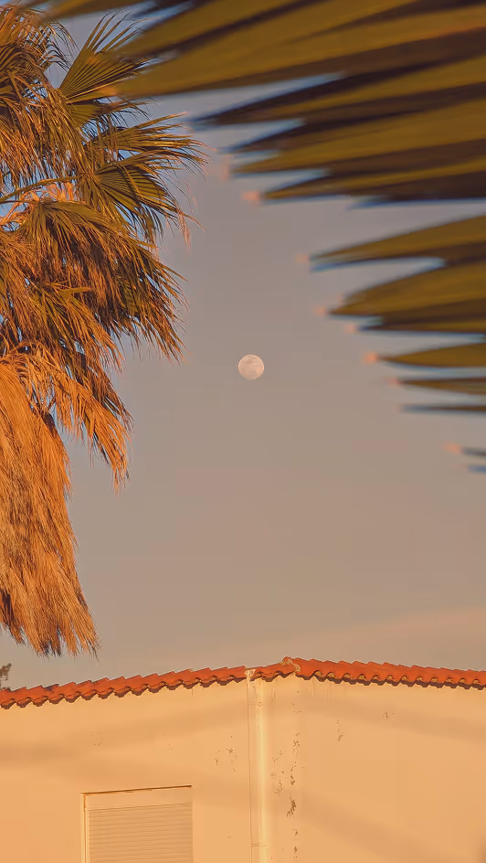 Half moon in sky above a building with a tiled roof and palm tree leaves on both sides.