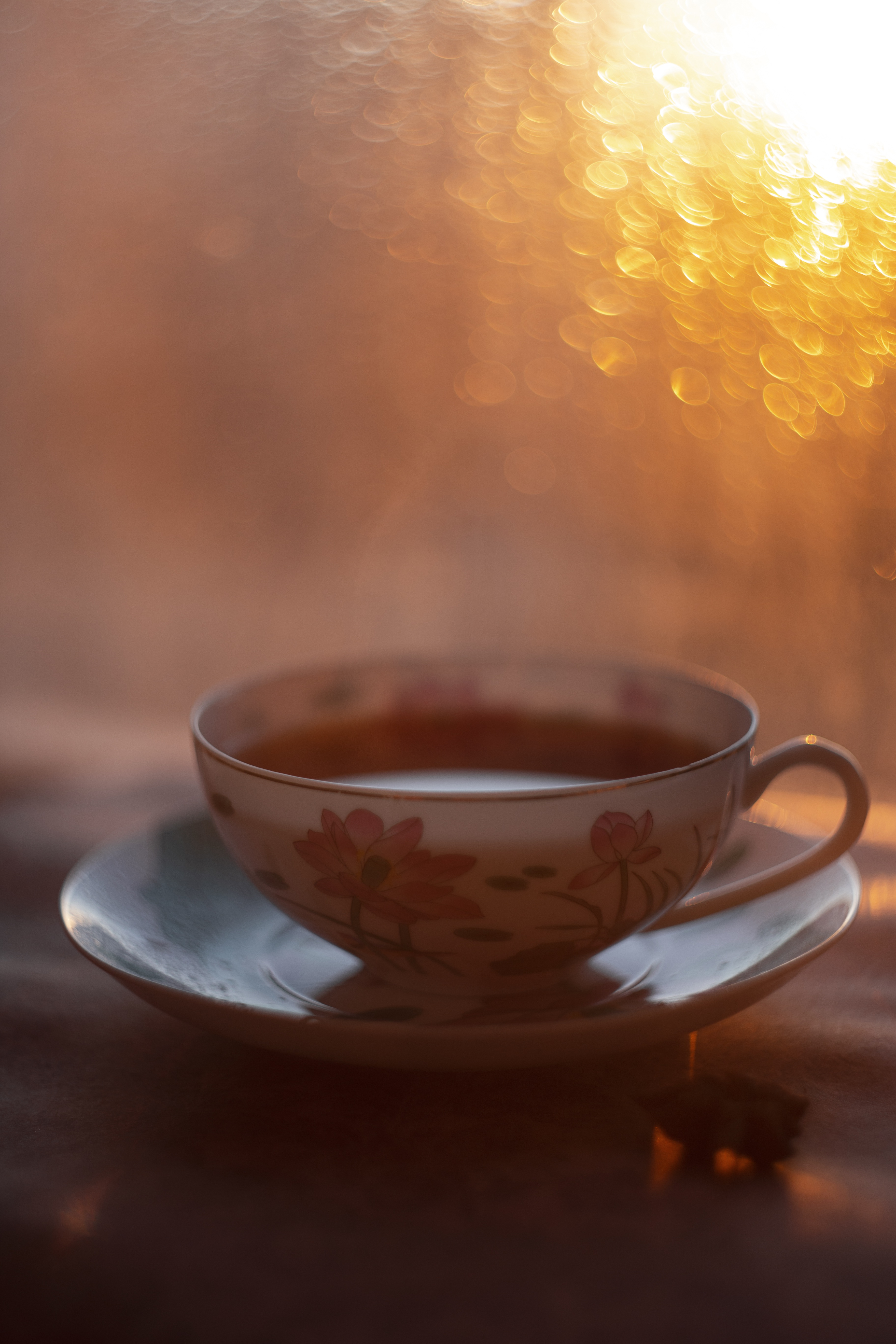 The Afternoon Sun: A Quiet Touch of Grace