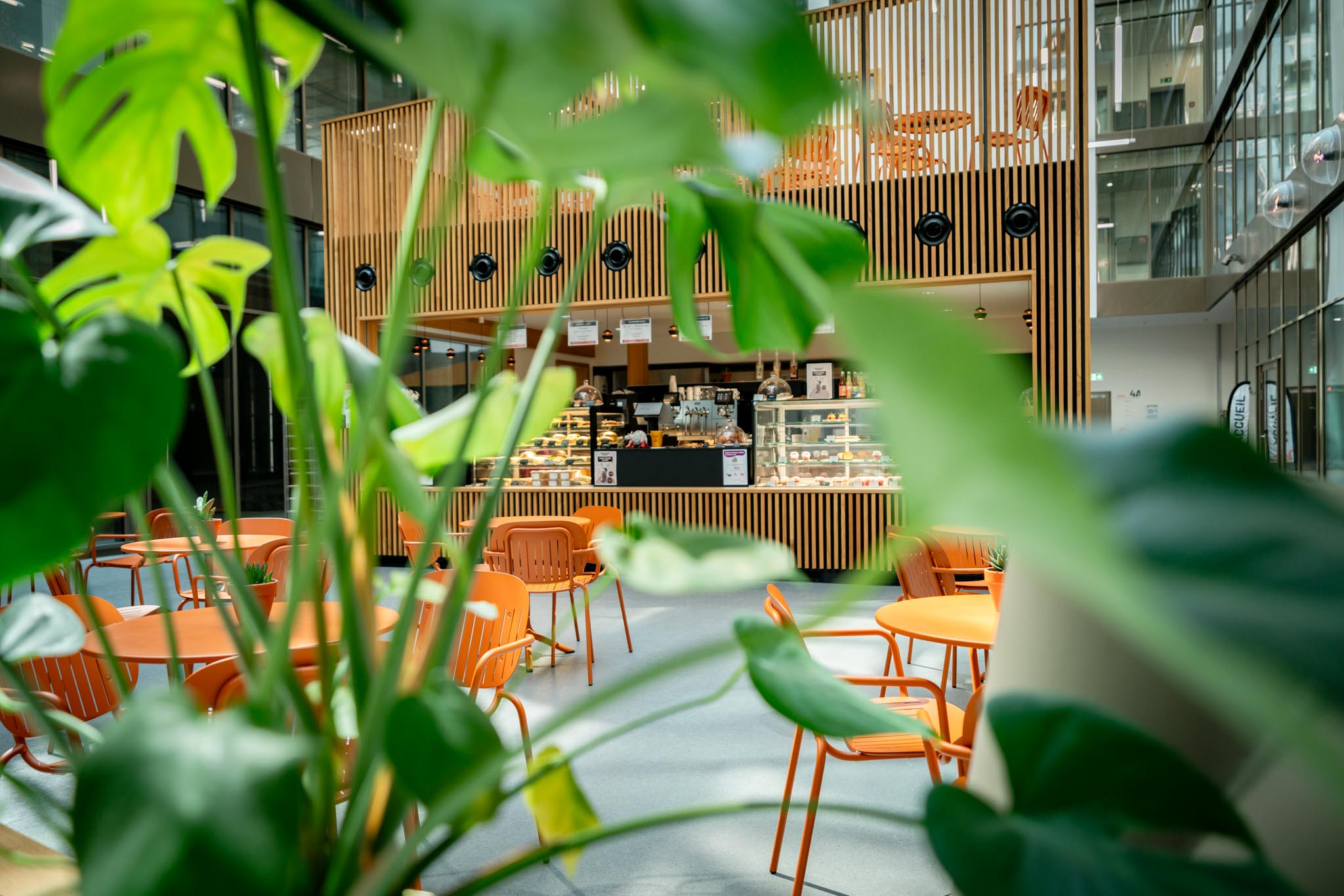 Cuisine professionnelle Edesia à Genève - équipements et réalisations CHR