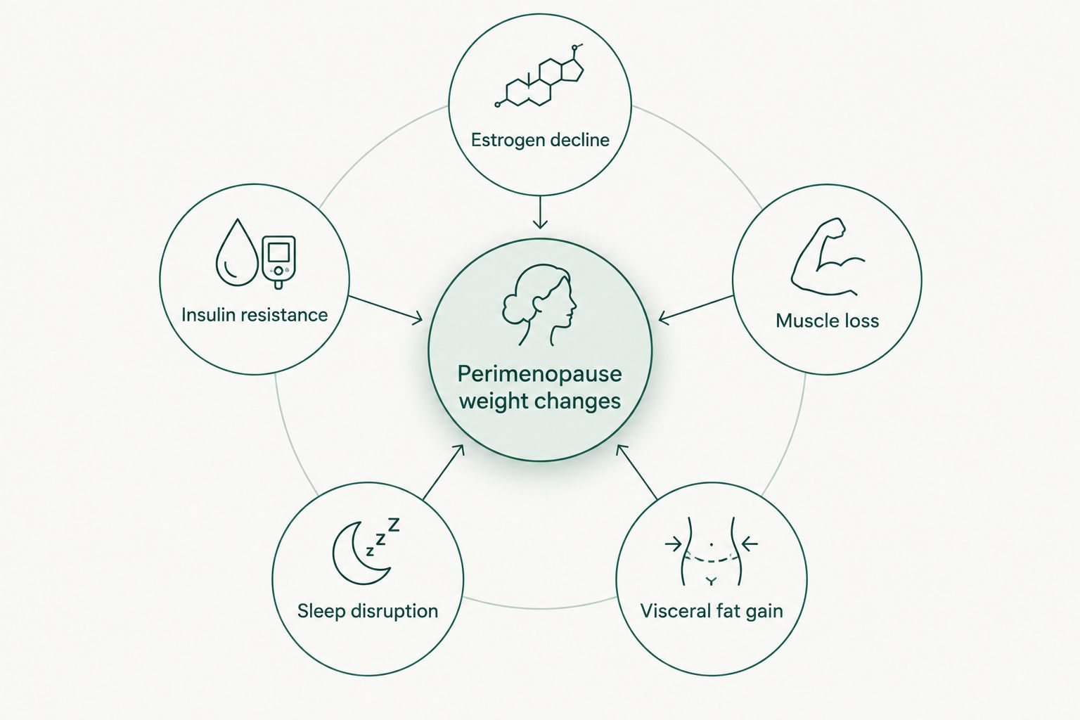 Diagram showing five hormonal factors connected to perimenopause weight changes