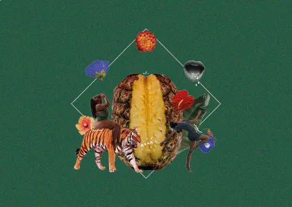 Postkarte Pina Babic