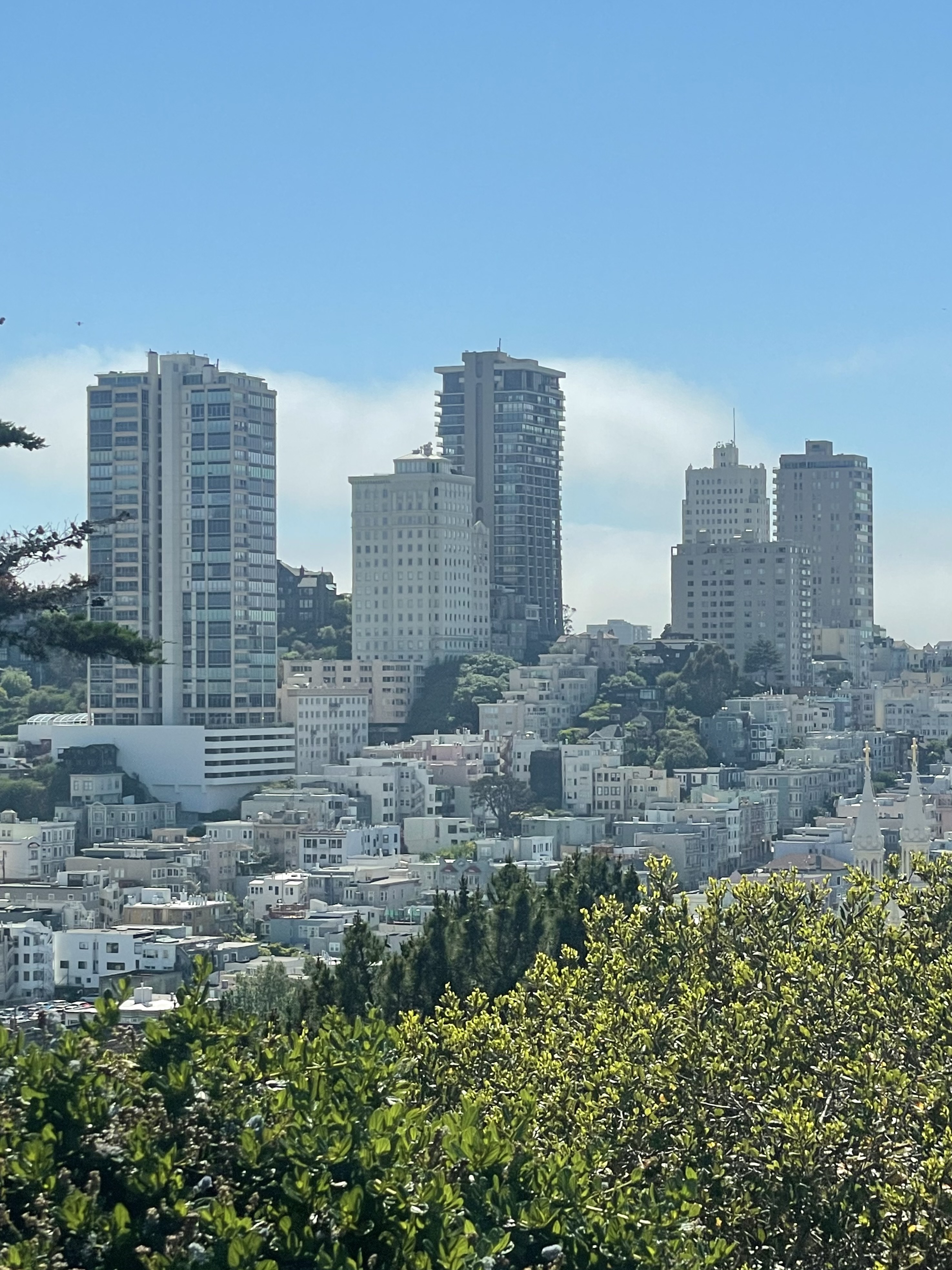 image of cycling community event (for a bicycle shop)