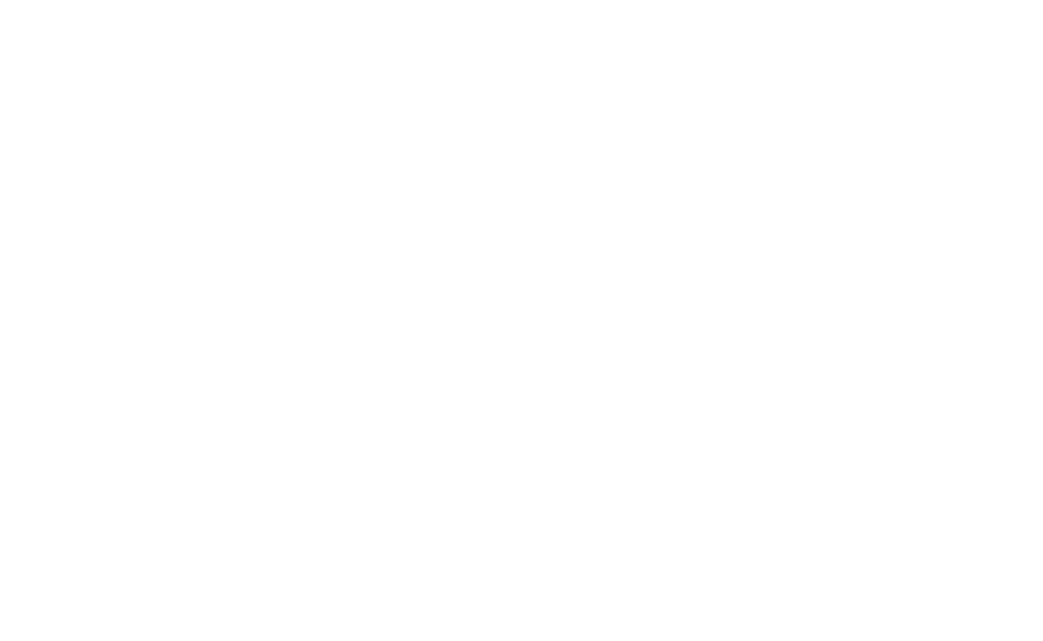 DFI Insurance