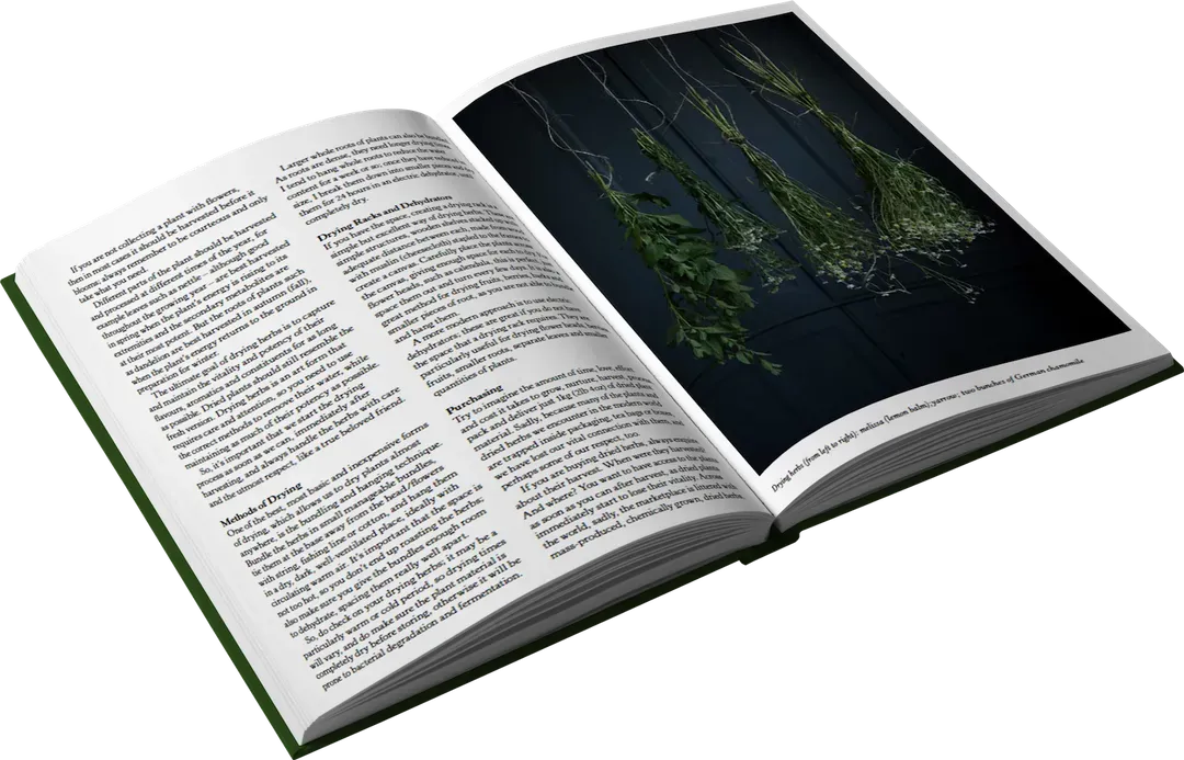 An open book with an image of a plant
