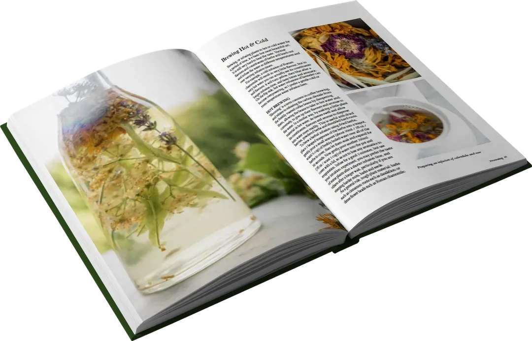 An open book with a picture of flowers in a jar