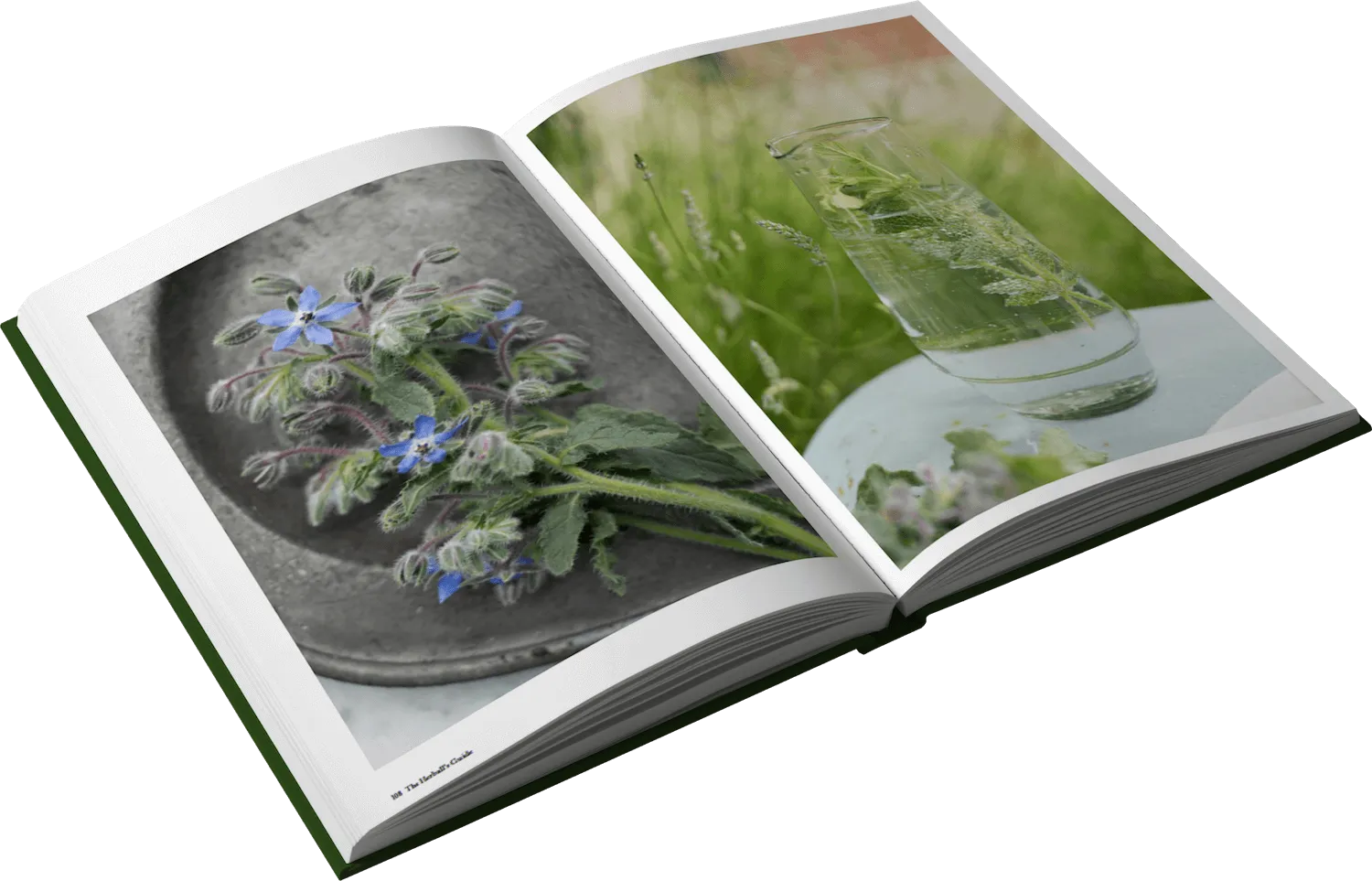 An open book with a picture of a vase and flowers
