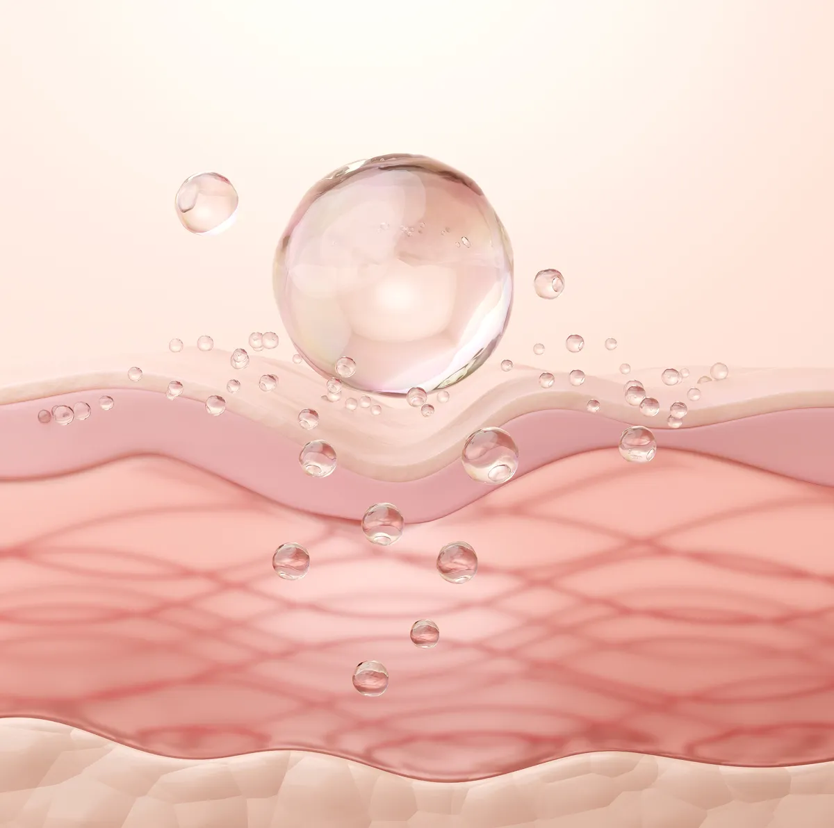 Illustration of transparent water droplets on layered pink skin surface depicting hydration and moisture retention.