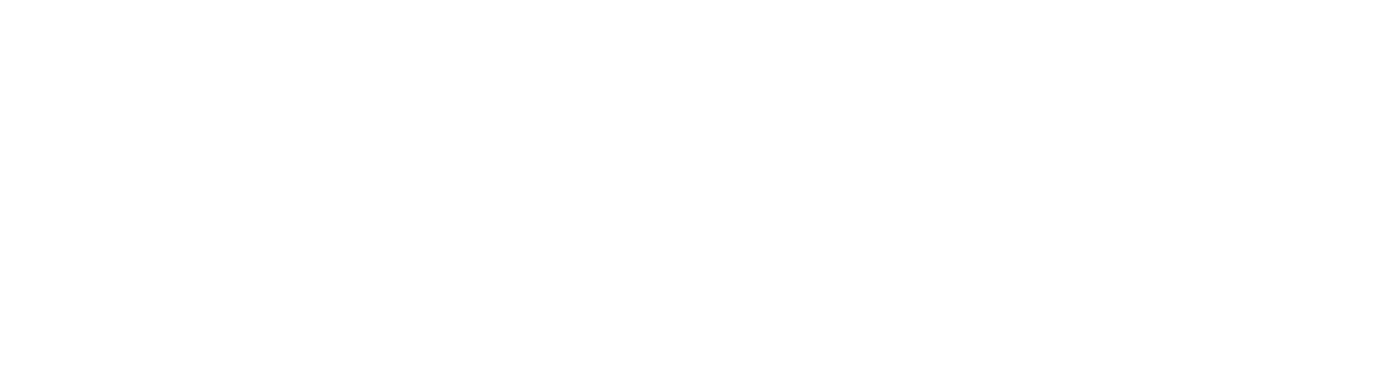 Vidor logo with the word 'vidor' in bold lowercase letters with unique circular designs inside the letters d and o.