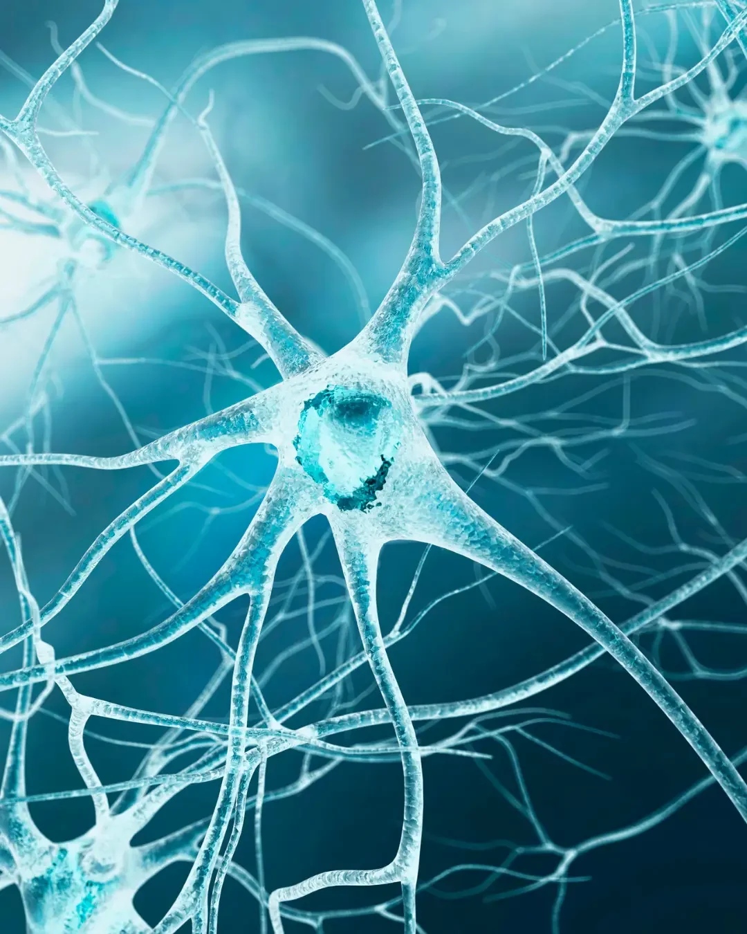 Close-up illustration of translucent blue neurons with extending dendrites and axons on a blue background.