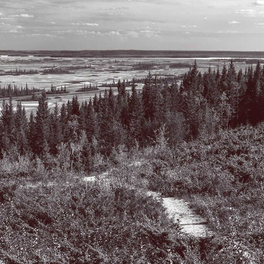 wood buffalo national park landscape