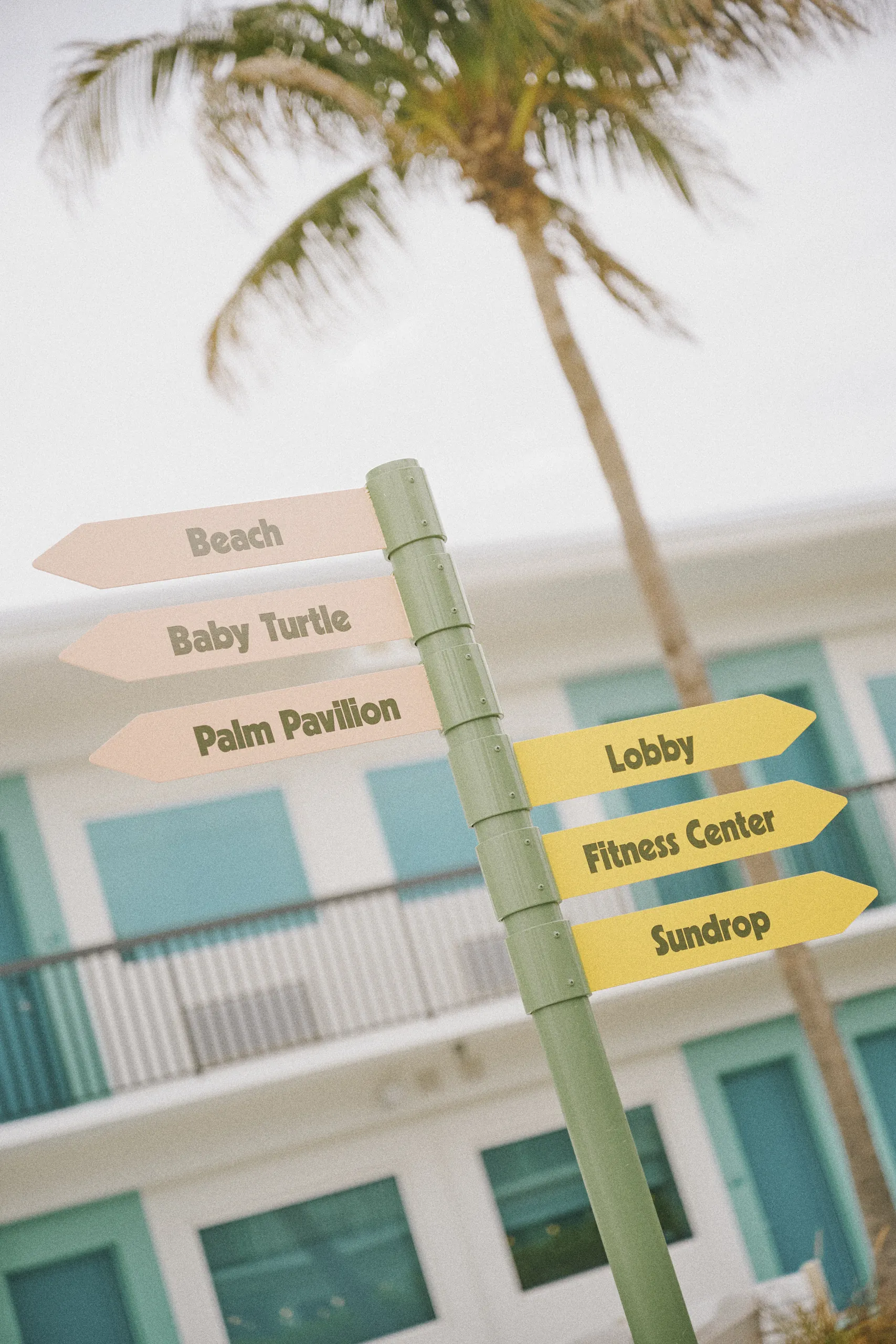 Green pole with six directional signs to Beach, Baby Turtle, Palm Pavilion, Lobby, Fitness Center, and Sundrop.