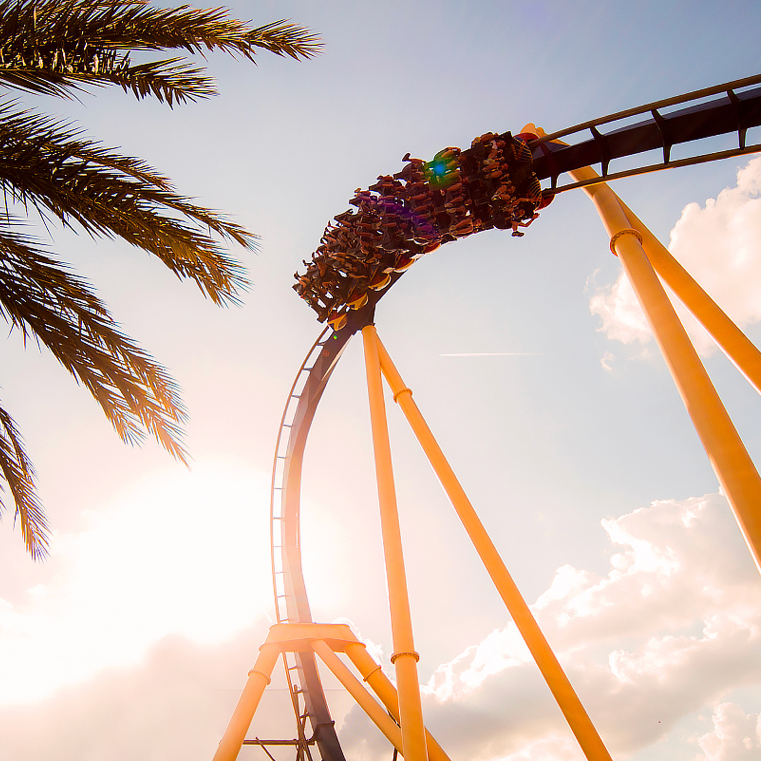 Roller coaster at Busch Gardens, a nearby attraction to The Luce Hotel