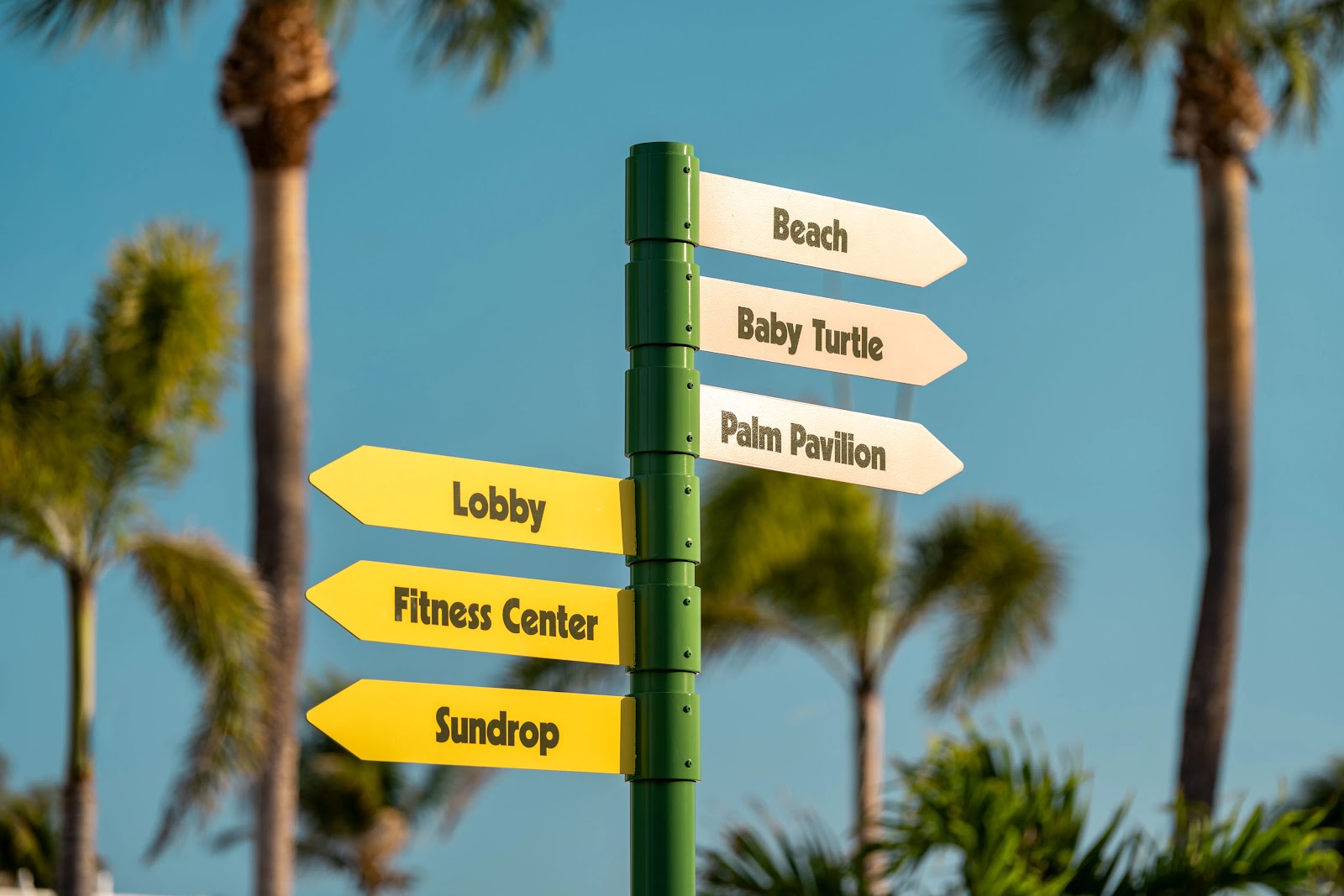 The Luce Hotel press coverage: MSN – St. Pete Beach's iconic Postcard Inn reopens as the Luce after major renovation