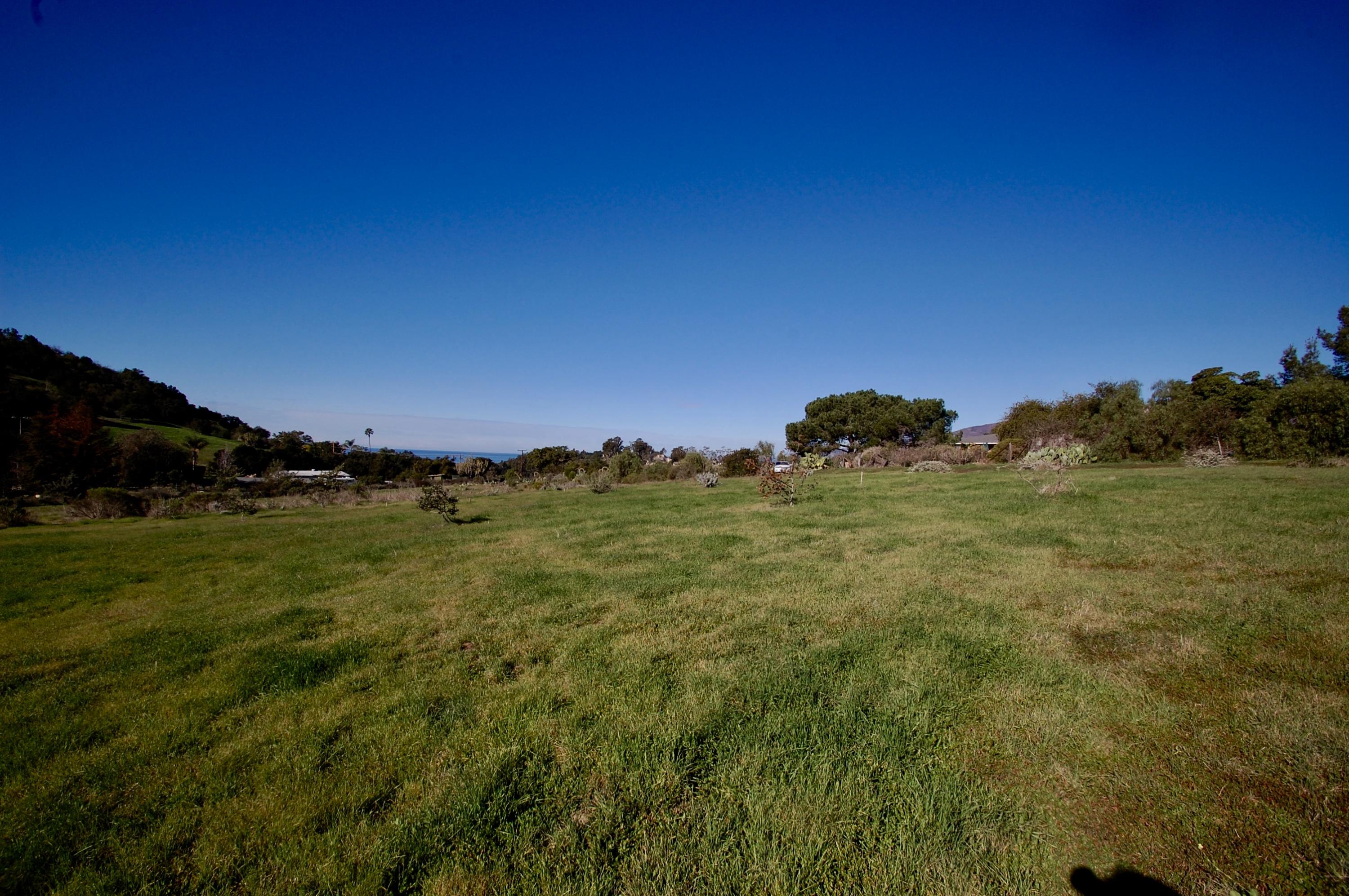 7050 Gobernador Canyon Road - 4