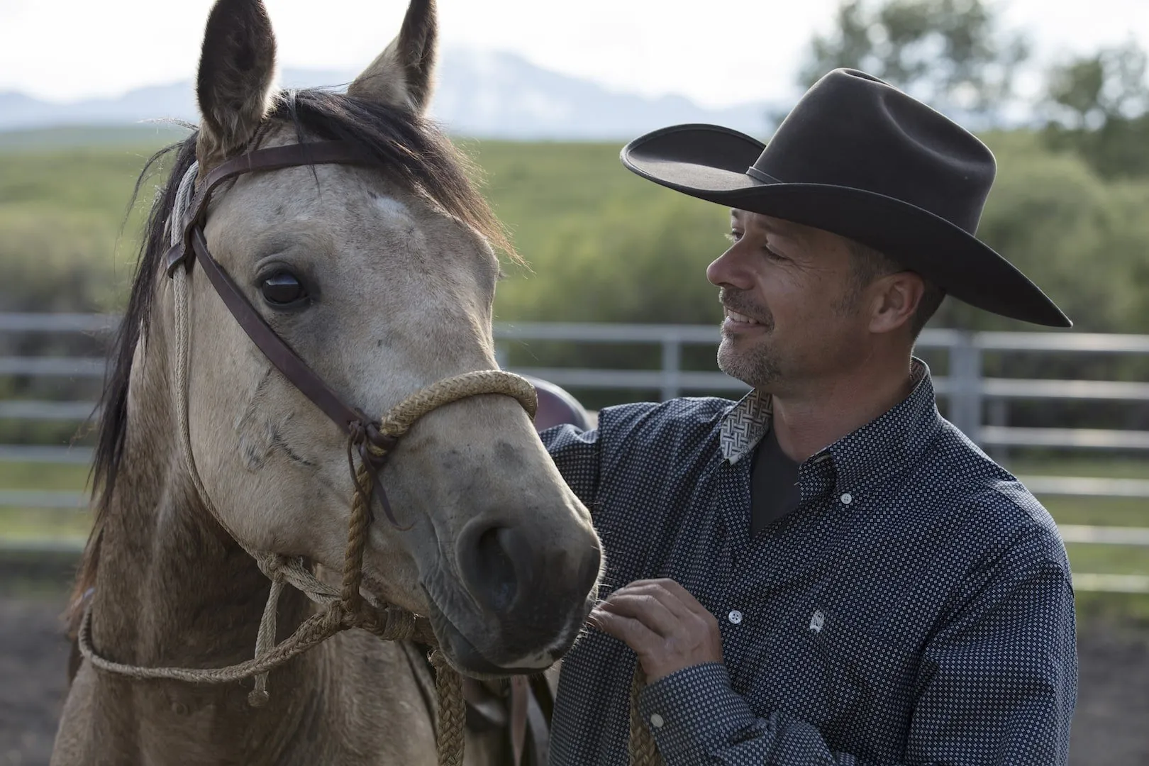 Expert in horsemanship Jimmy Anderson 'starting' a two-year old Quarterhorse colt in Alberta.