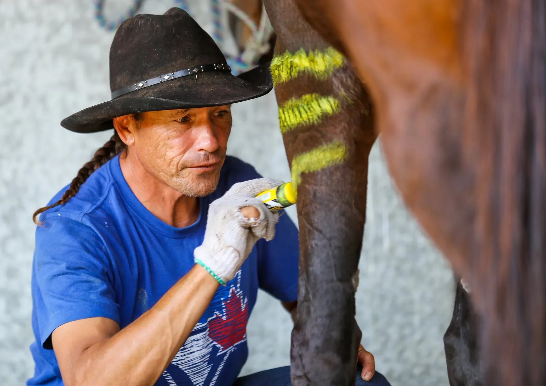 Allison Red Crow paints his horses at the World Indigenous Games, July 2017.