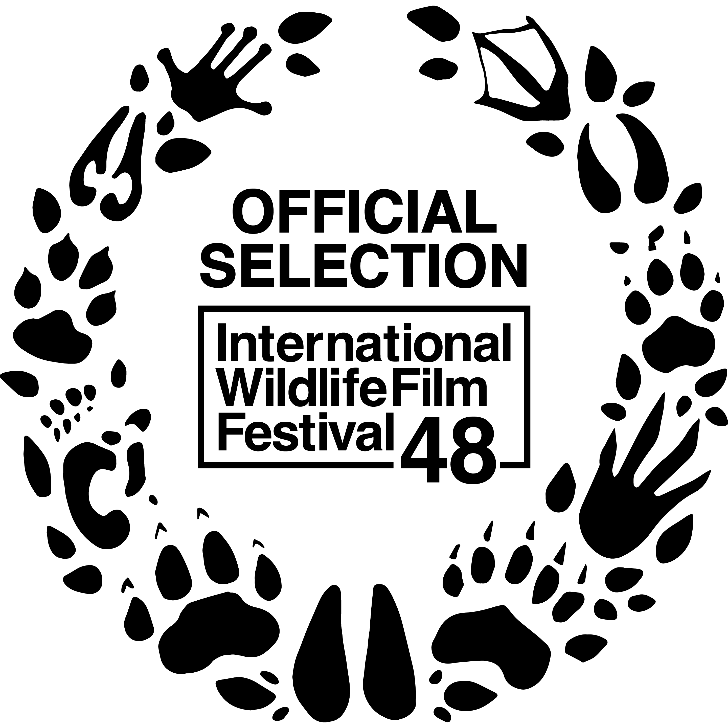 International Wildlife Film Festival 2025 – Official Selection