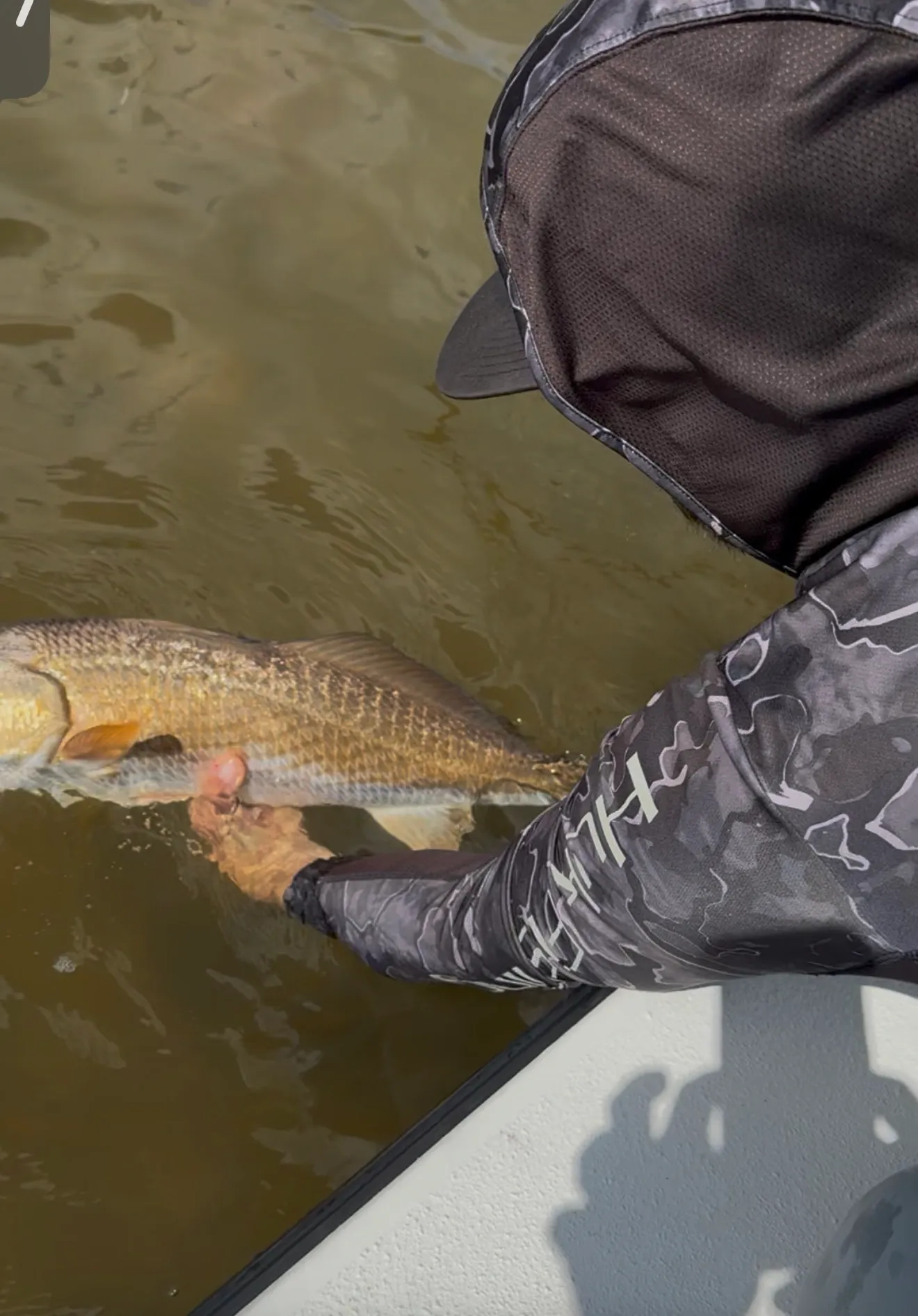 Fish held close to the water for a quick release
