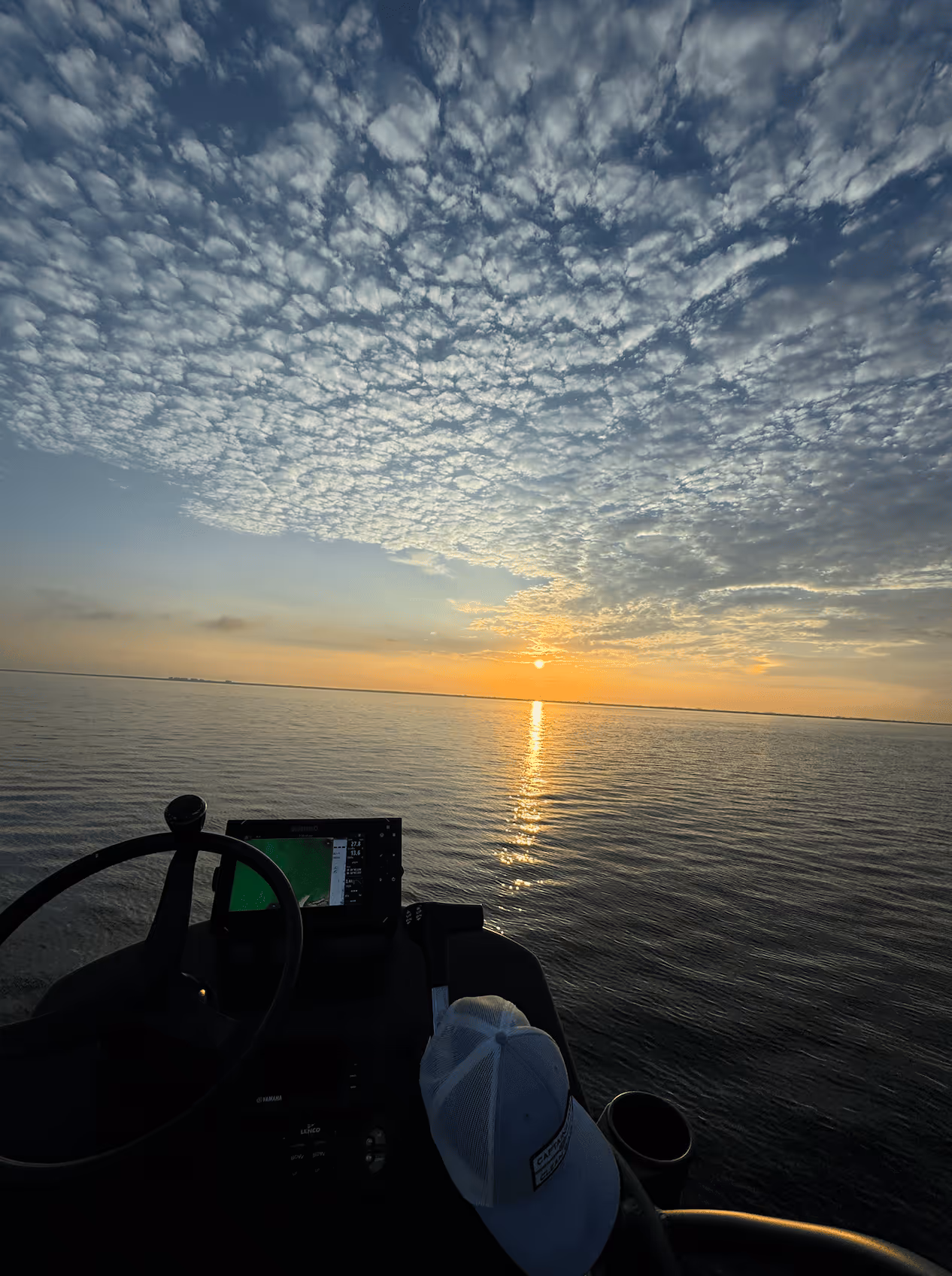 More Fish Florida photo 4