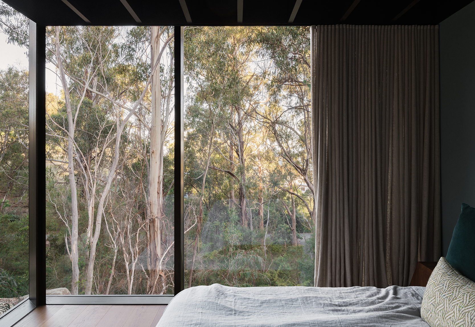 floor to ceiling glass looking into bush