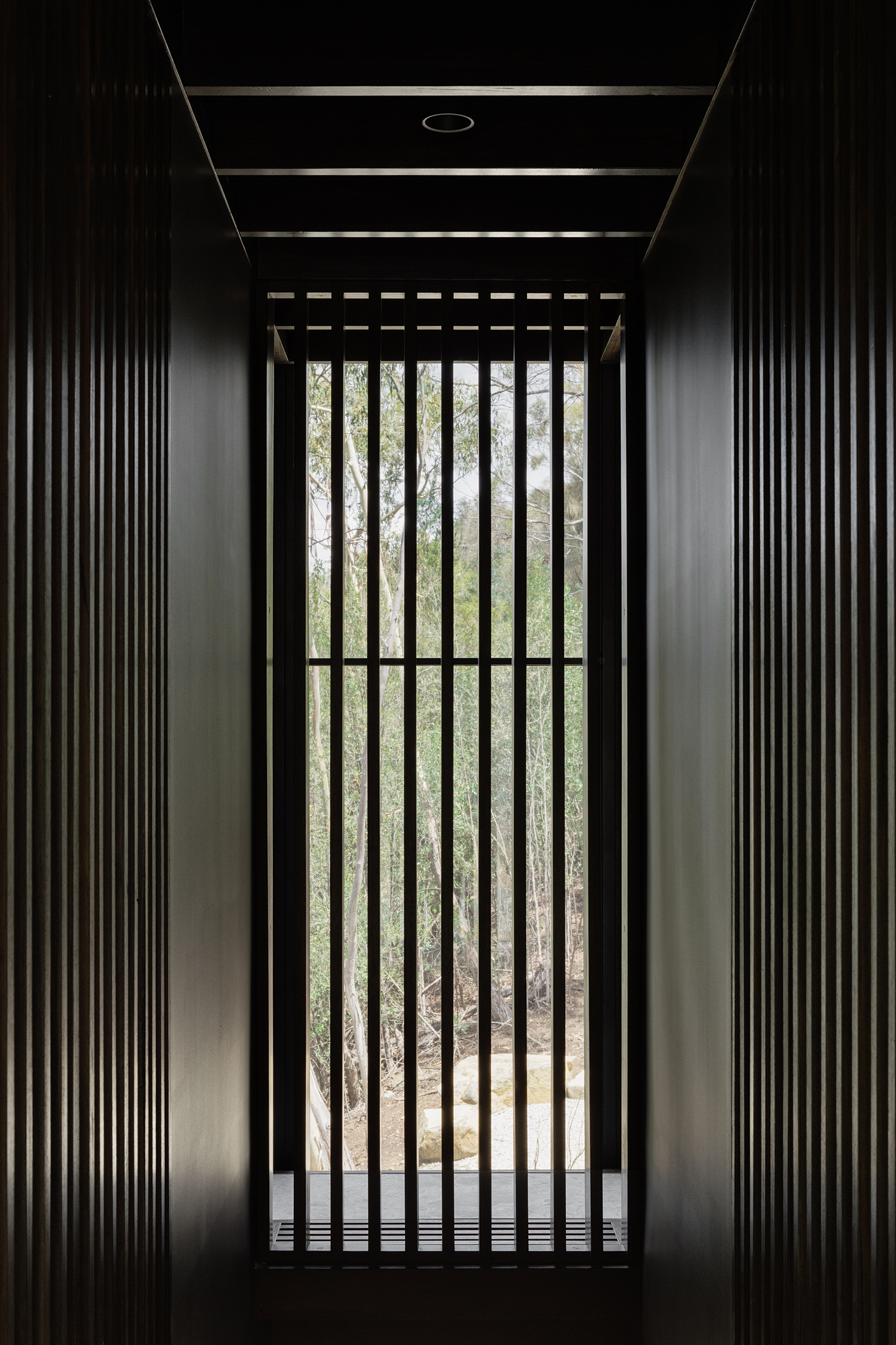 timber battens for screening