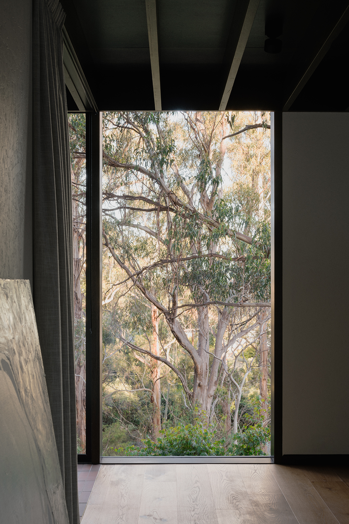 prefabricated steep site fully glazed facade exposed timber ceiling