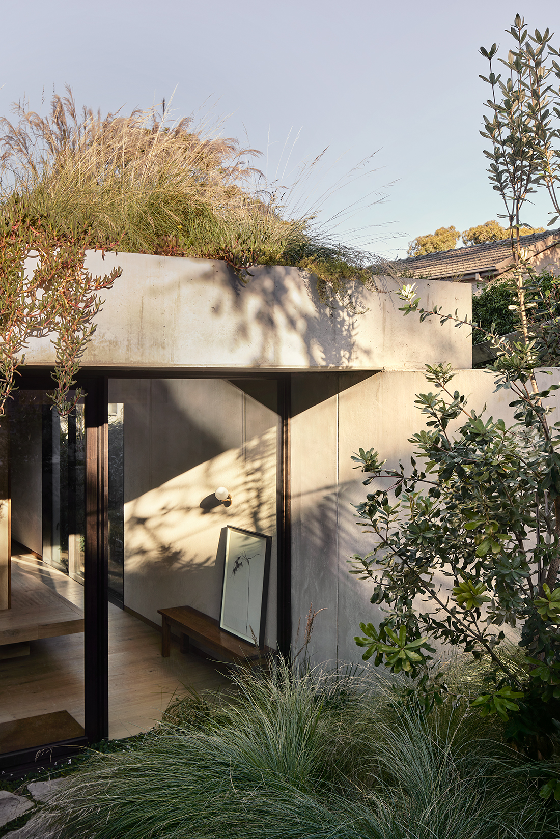 green roof concrete house
