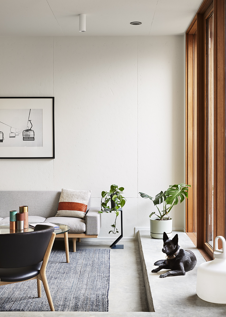 timber full height windows townhouse