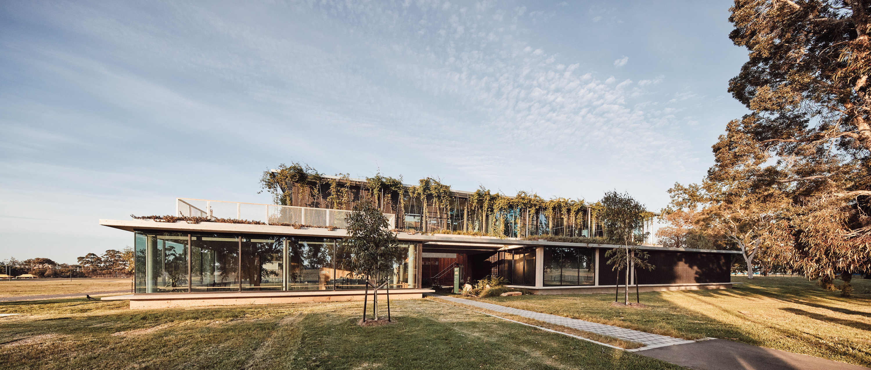 green roof commercial office building