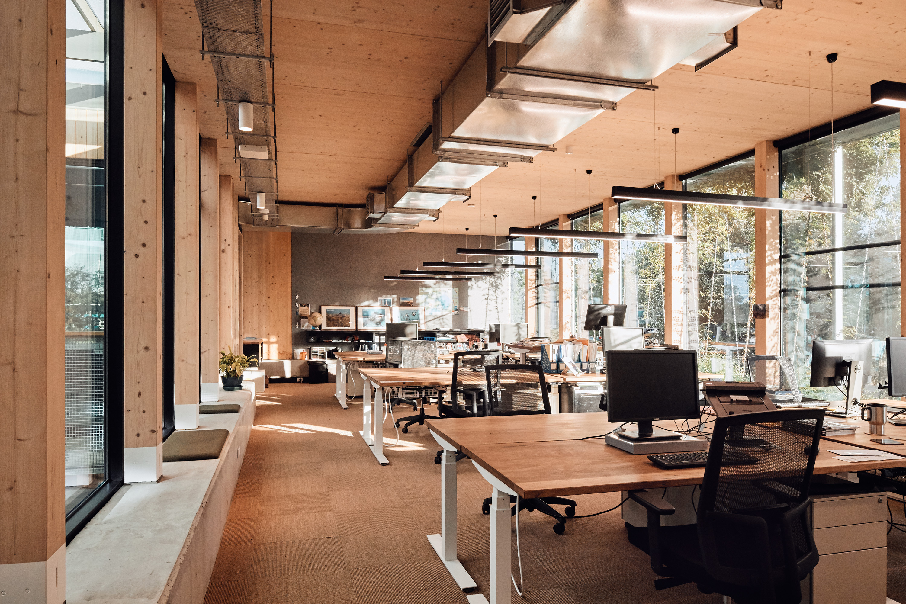 timber office