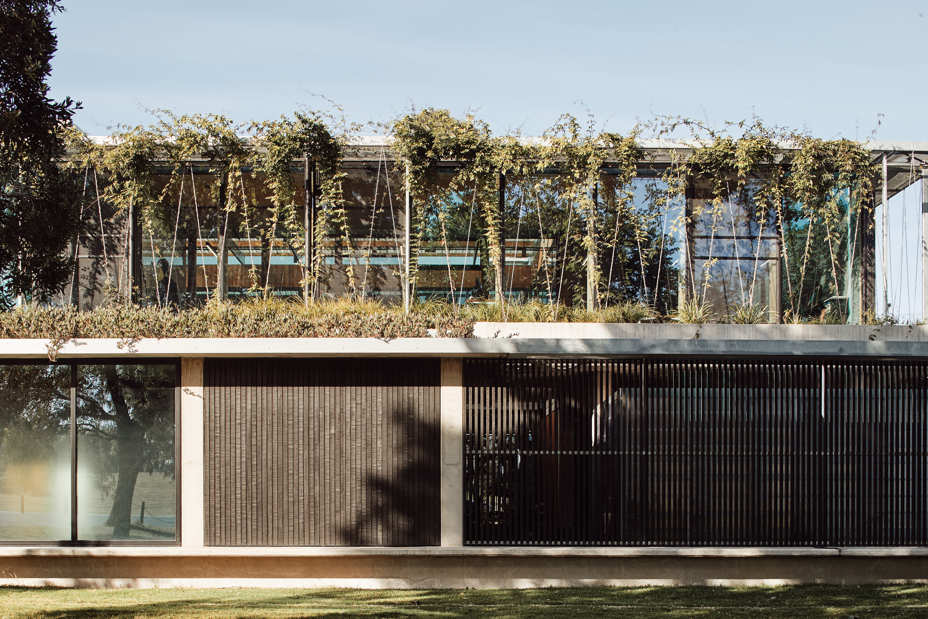 green roof commercial office building