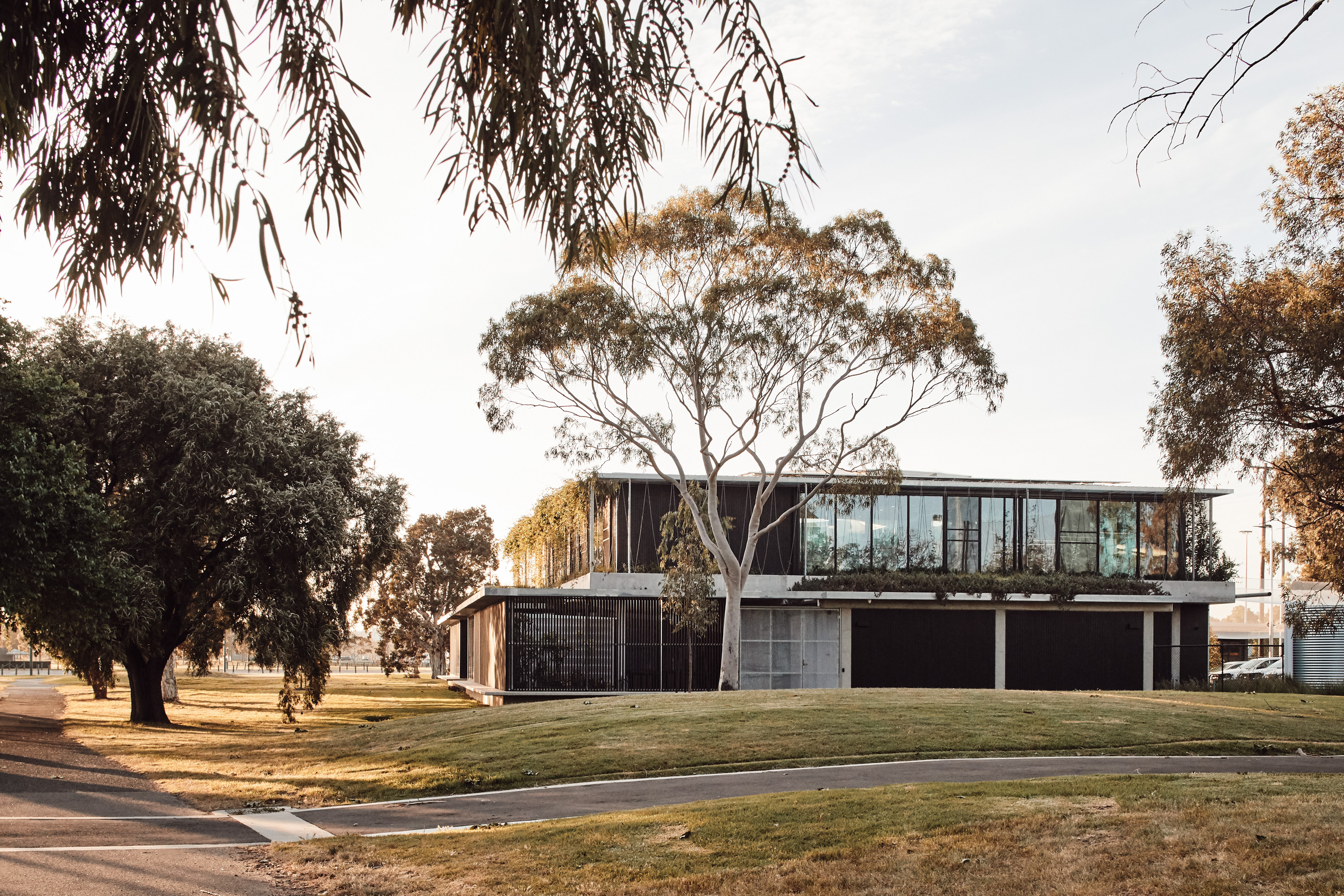 green roof commercial office building