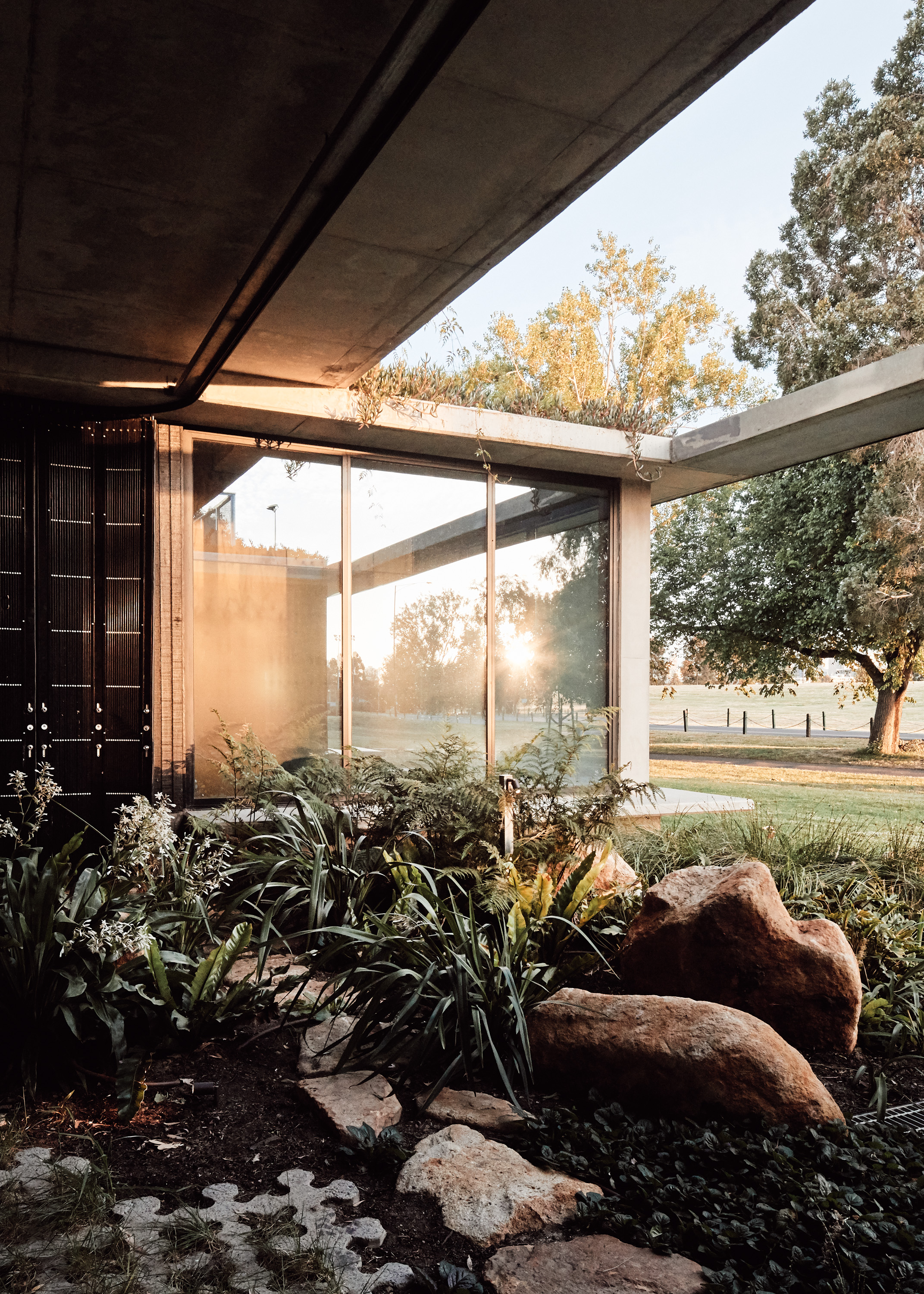 green roof commercial office building