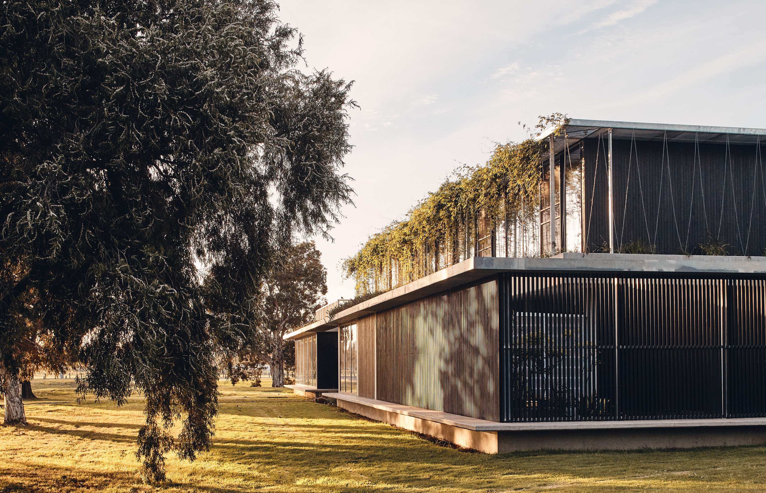 green roof commercial office building