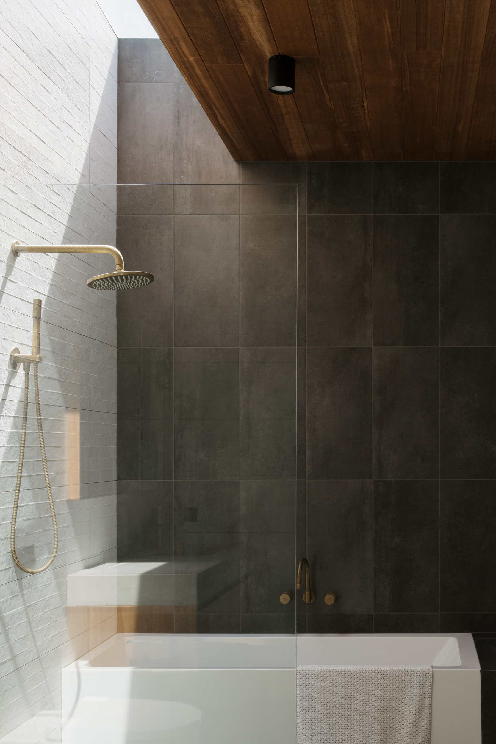 skylight above shower