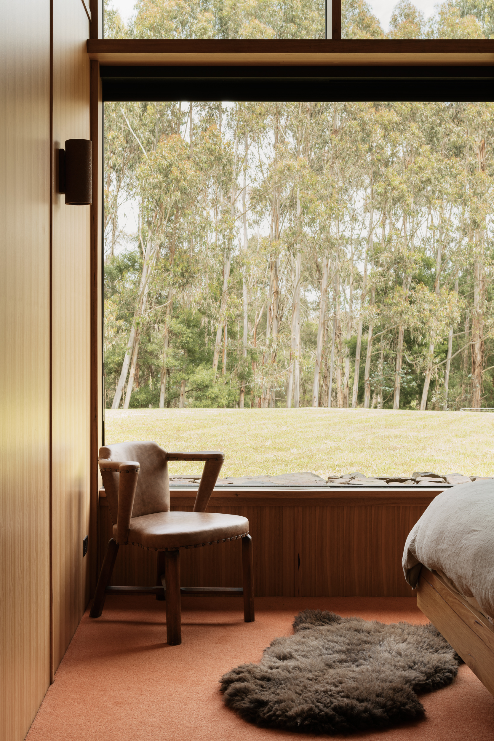 full height cabinetry, warm rusty carpet and full height windows
