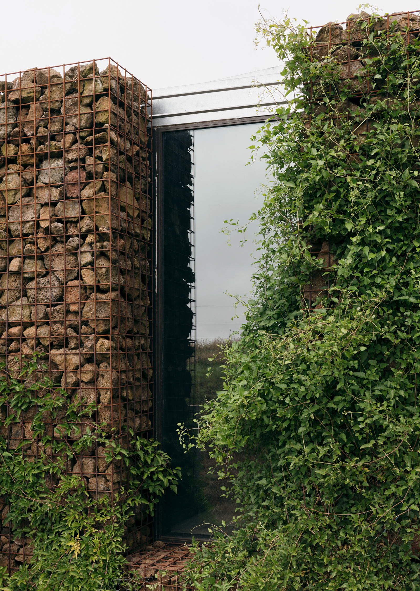 gabion wall with plants growing up