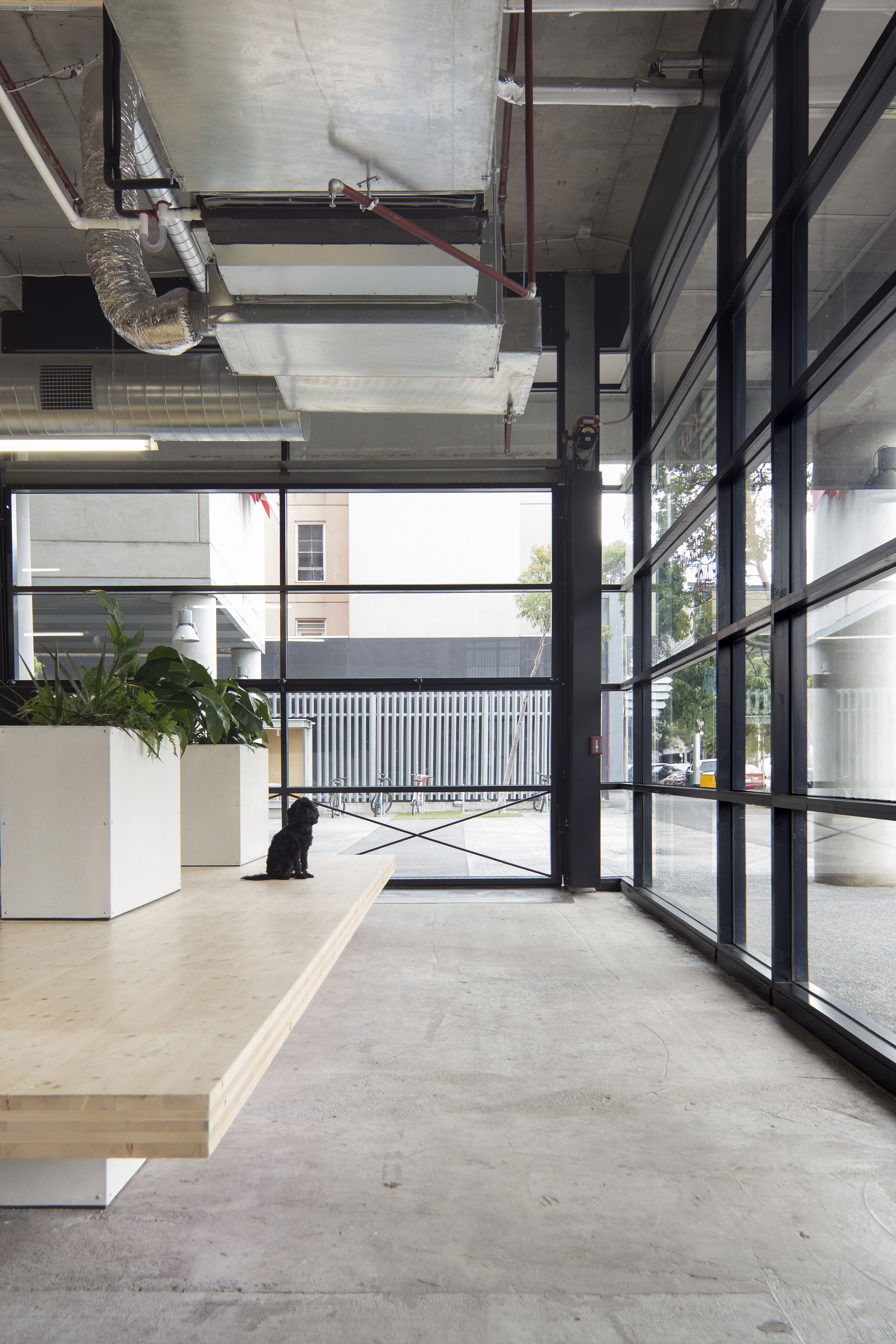 creative coworking space melbourne
