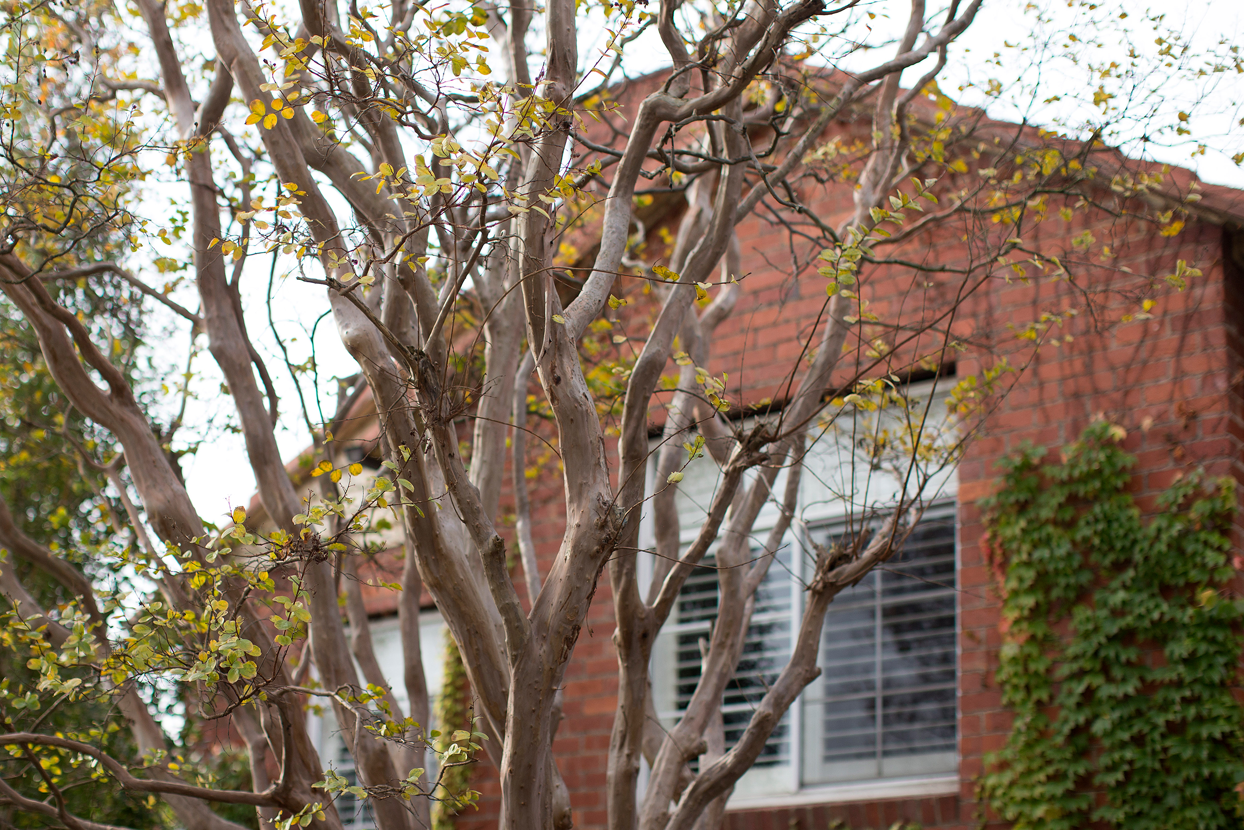 melbourne brick house renovation