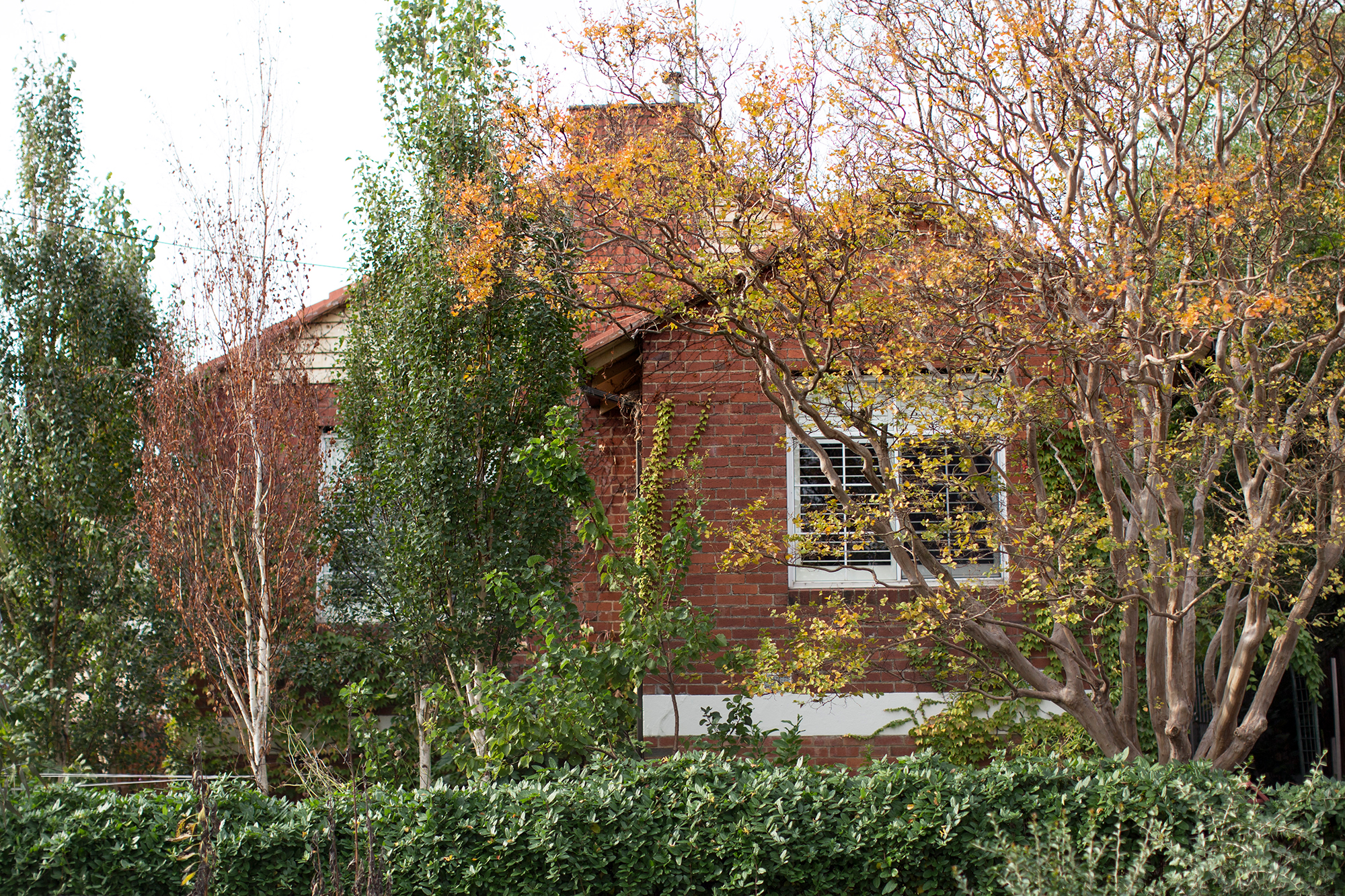 architectural renovation melbourne