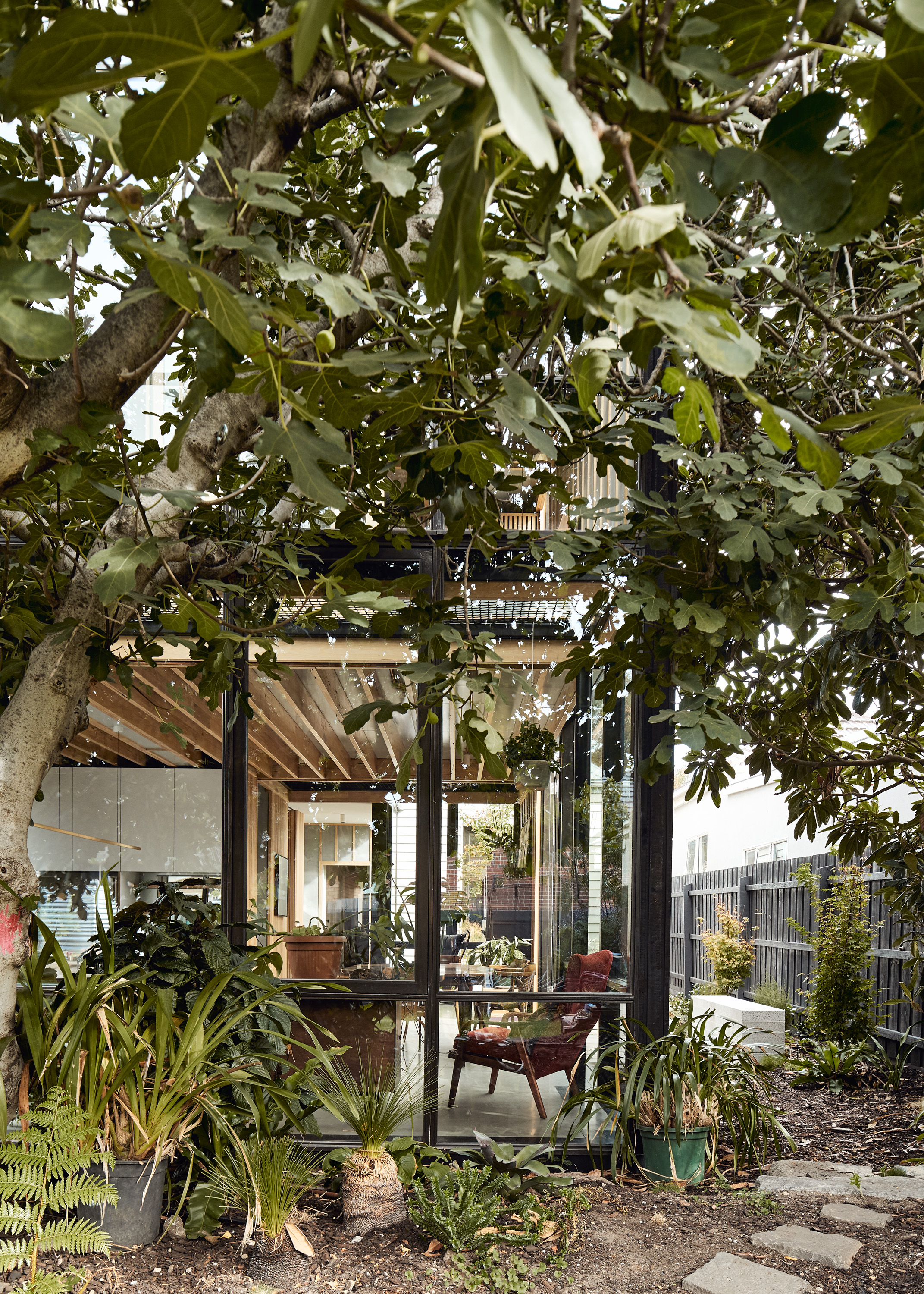 glass house nestled in trees suburban melbourne
