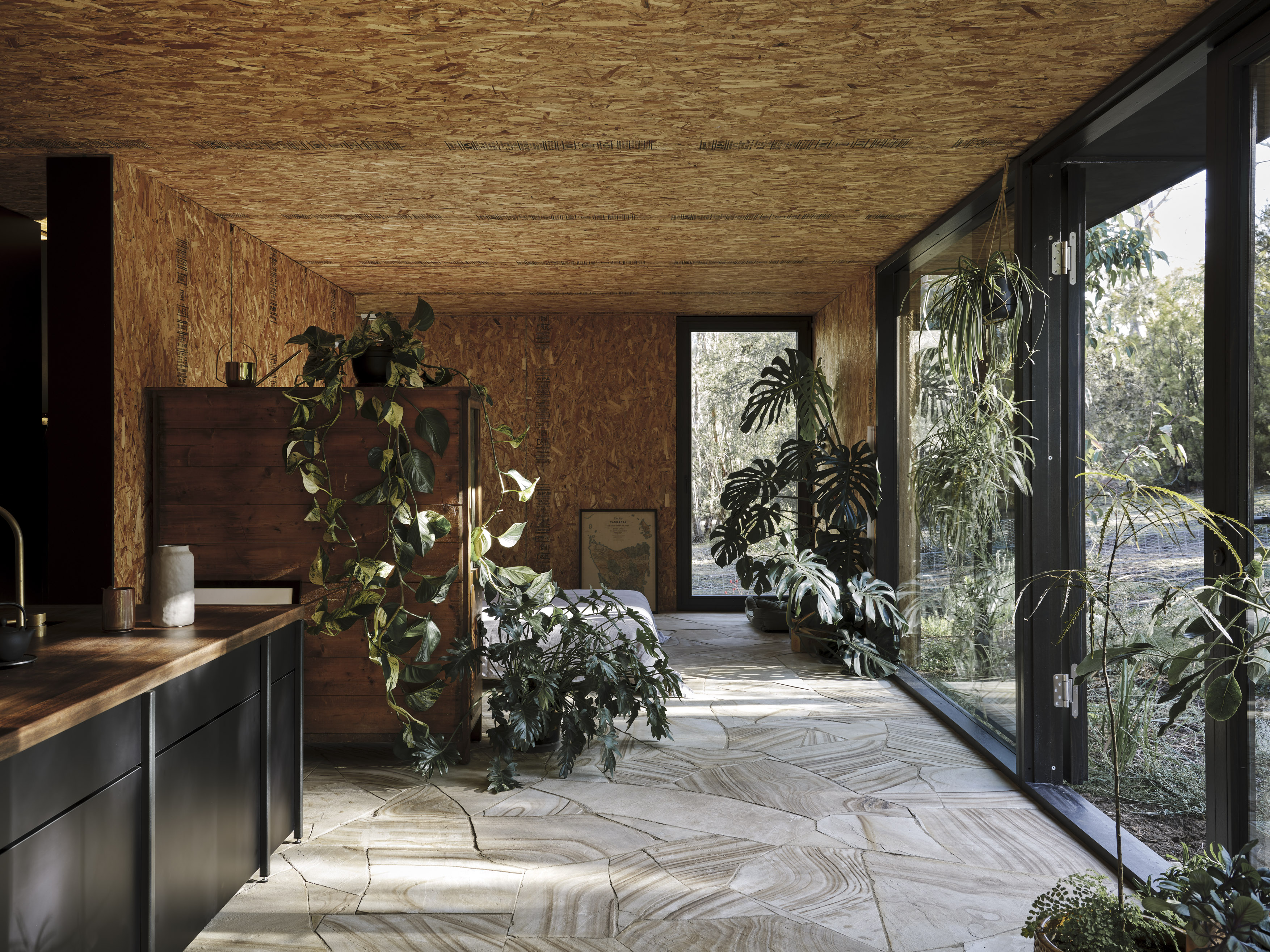 exposed raw timber OSB ceiling with sandstone floor and full height glass