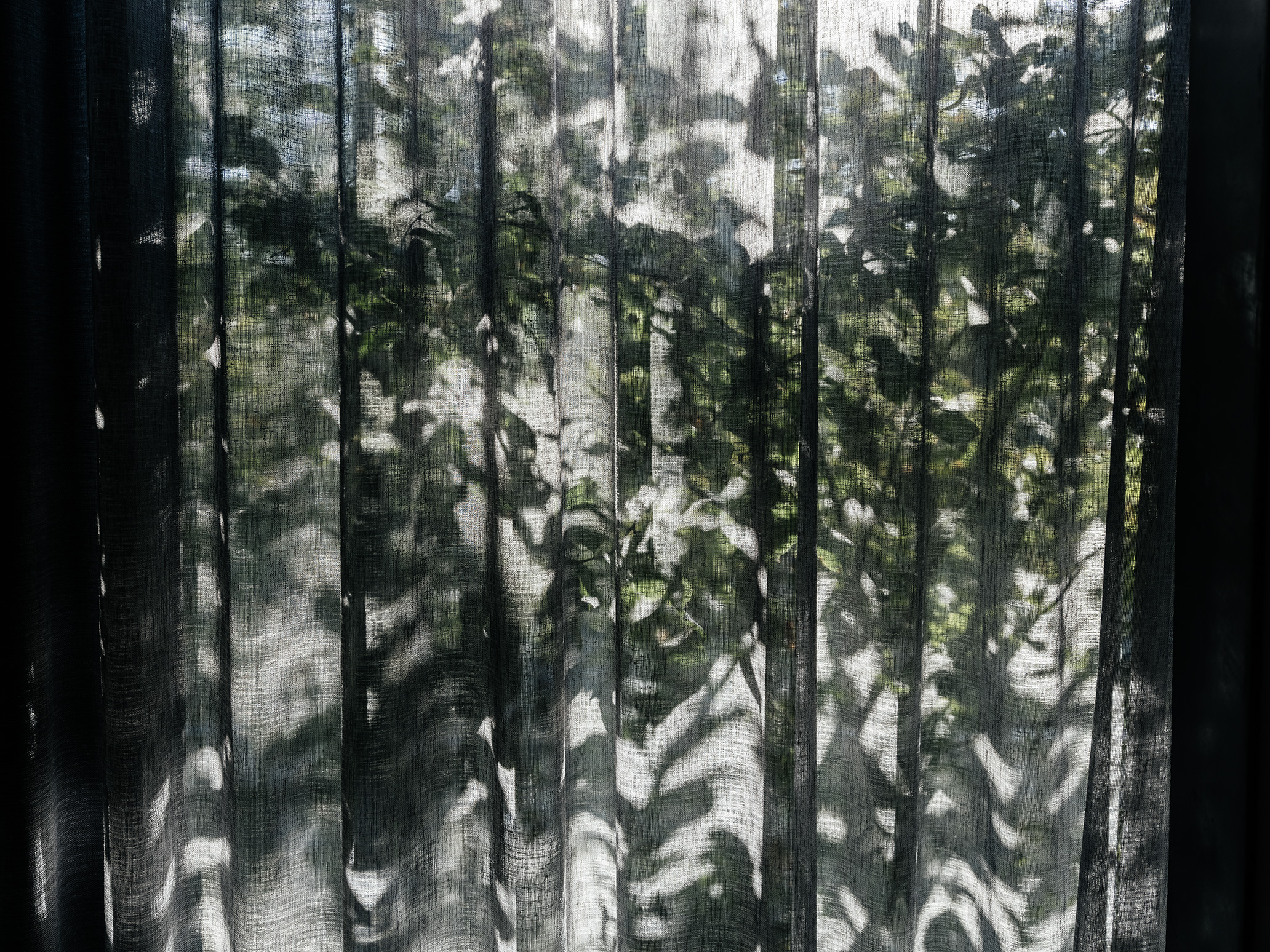 light curtains offer shadows from greenery outside
