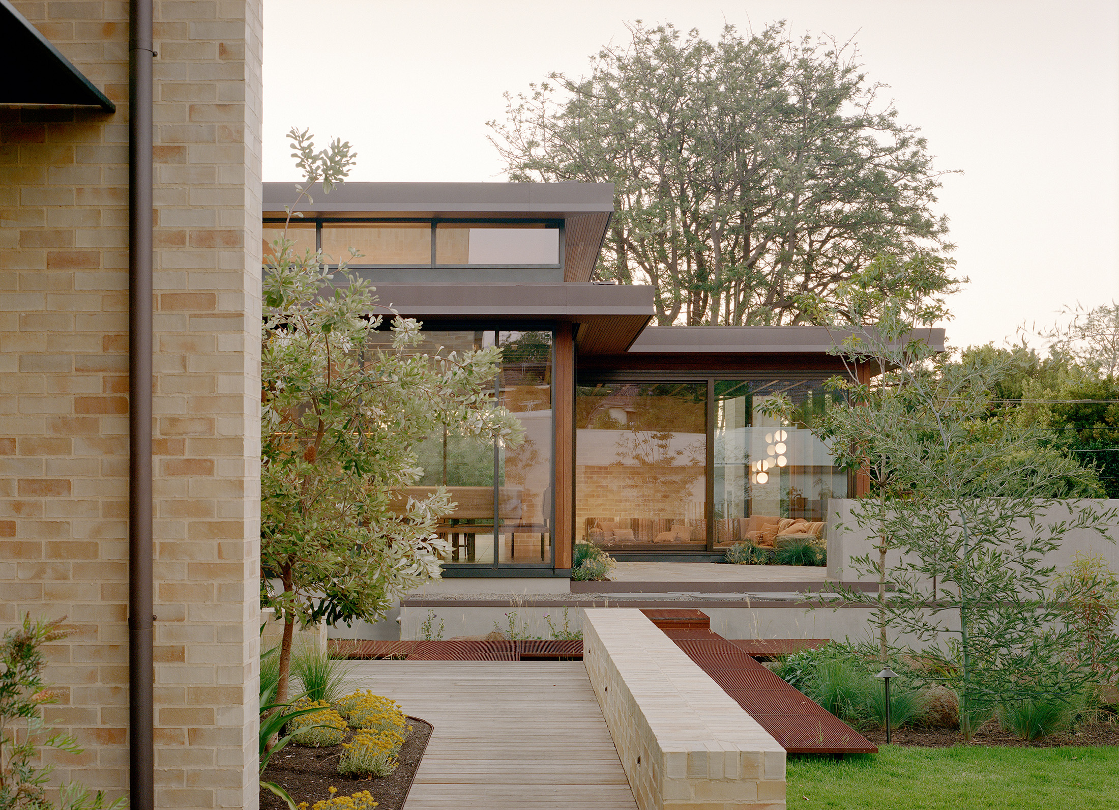 Architectural entry detail of a modern home featuring a timber boardwalk path, light brick retaining walls, and yellow native flowers. The glowing glass-walled living pavilion showcases minimalist mid-century style interiors.